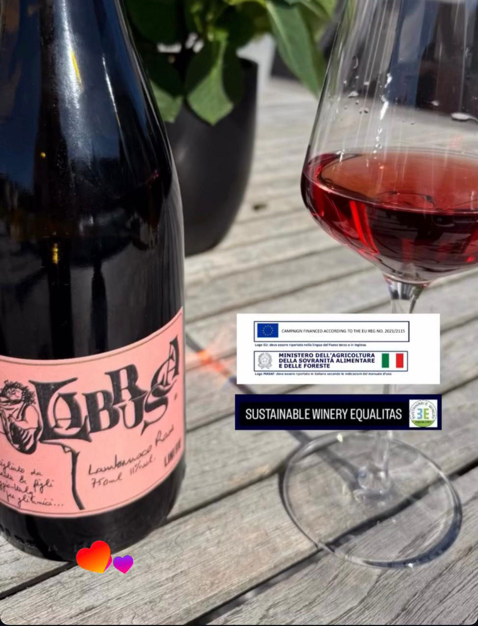 Summer tastes better chilled. ✨ Take in the bewitching character of Lini 910 Lambrusco — the perfect refresher for sunny days and good company.
#lambrusca #Lambrusco #italianwine #sparklingwine #winelover