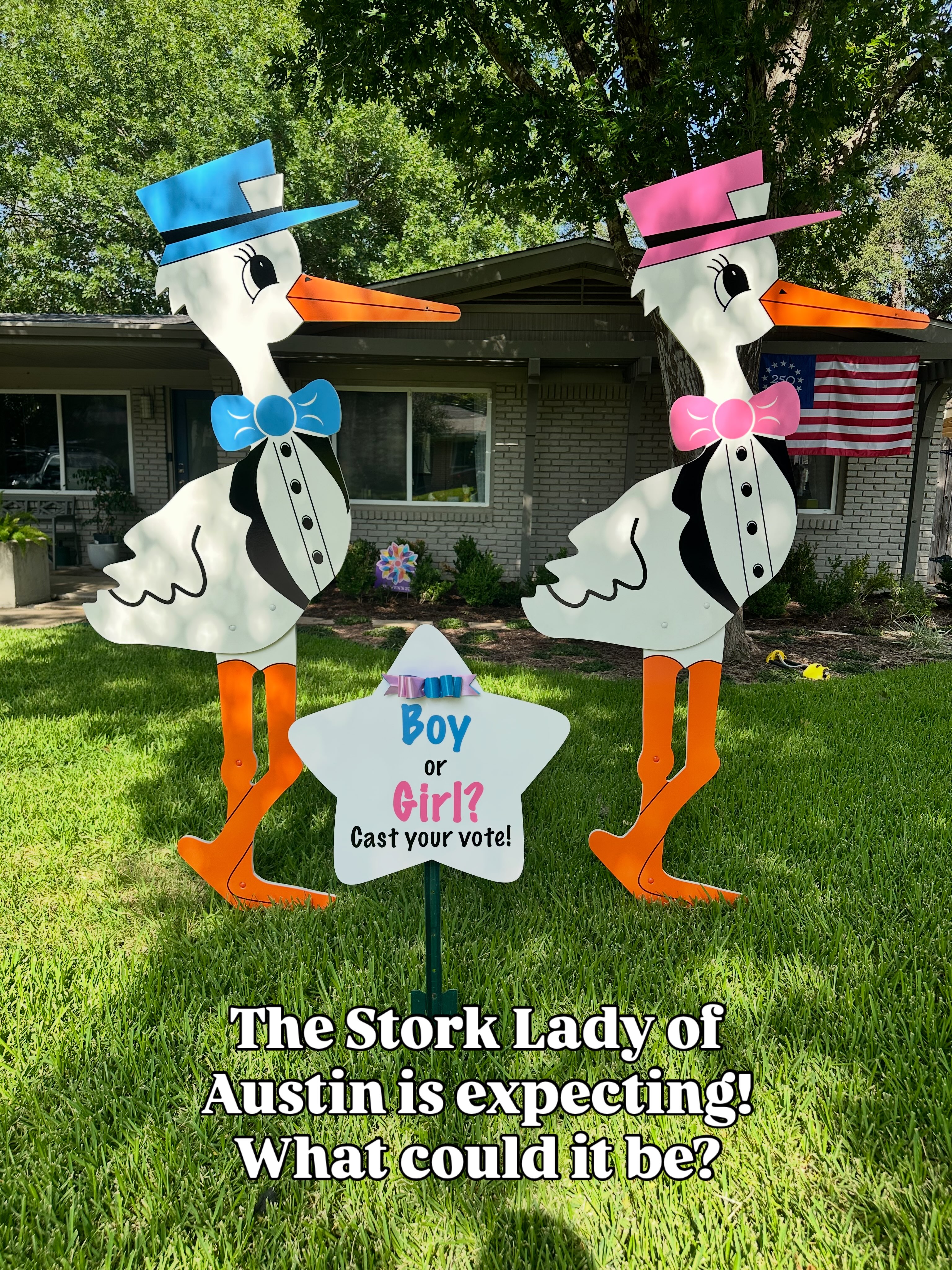 Storks & More of Austin is awaiting the arrival of her own stork! What will it be? A boy or a girl?