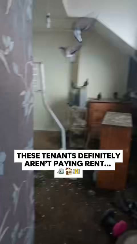 When a property has been left empty for a long time, nature has a habit of moving in first.
If you spot an empty property in your area, don’t just walk past. A quick photo could help bring it back into use, strengthen the local community and even earn you a reward.
Join the hunt. 👀
#EmptyPropertyHunters #EmptyHomes #PropertyUK #SideHustle #Community