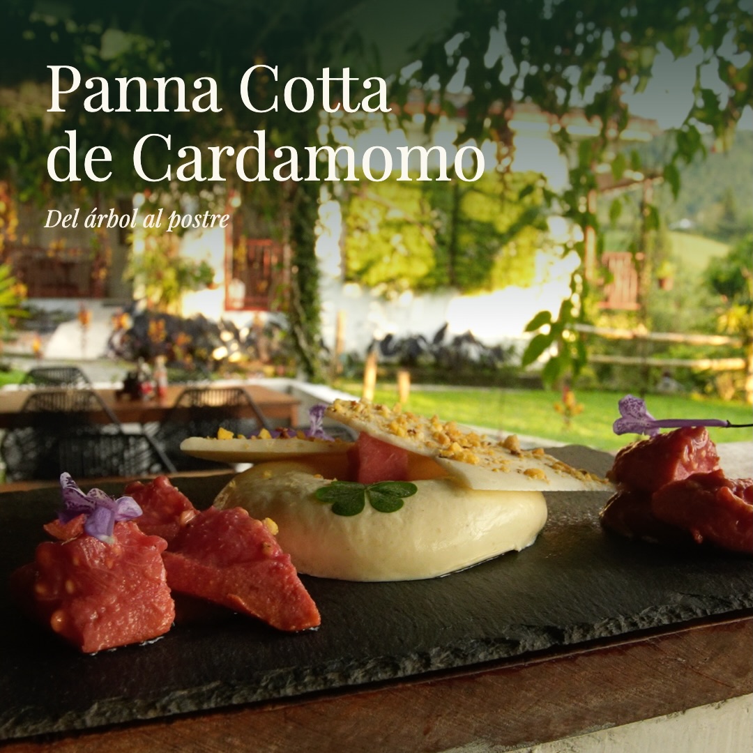 Del árbol al postre 🌿 En Paraíso Verde la guayaba crece en nuestros propios árboles, a la sombra de la casa colonial y del bosque de nube. Con ella preparamos nuestra panna cotta de cardamomo: cremosa, fresca y con el sabor de la finca.
Pero esa misma guayaba también alimenta a las más de 100 especies de aves que visitan nuestra reserva. Compartimos la fruta con ellas, y ahora queremos compartirla contigo. Ven a probarla a 5 minutos de Manizales.
Reserva tu experiencia — link en la bio.
ENG/
From tree to dessert 🌿 At Paraíso Verde, guava grows right on our own trees, in the shade of the colonial house and the cloud forest. We use it to make our cardamom panna cotta: creamy, fresh, and full of farm flavor.
That same guava also feeds the 100+ bird species that visit our reserve. We share the fruit with them — and now we want to share it with you. Come try it 5 minutes from Manizales.
Reserve your experience — link in bio.
#ParaísoVerdeManizales #Manizales #BosqueDeNube #Birdwatching #turismosostenible