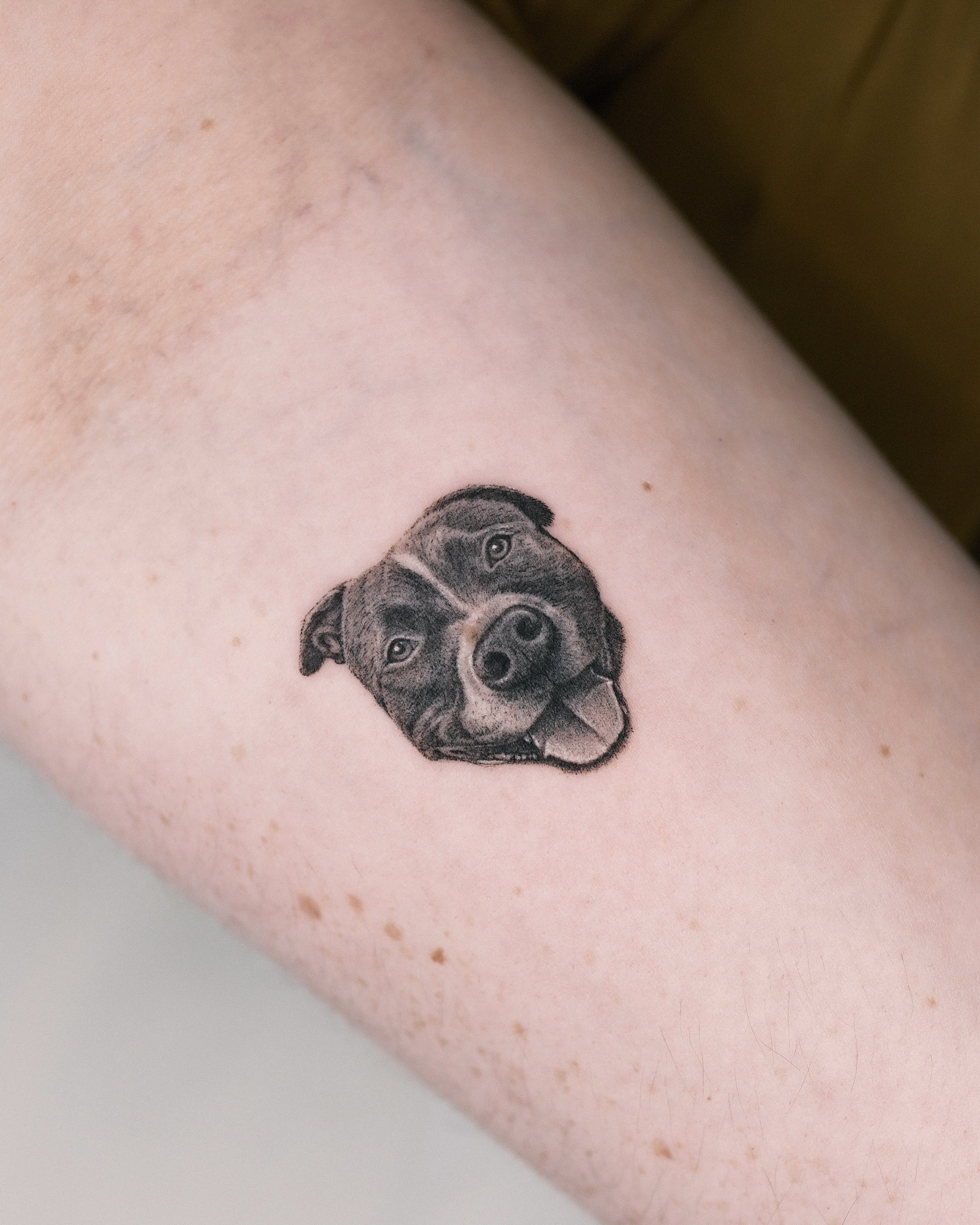 love tattooing your babies!!! more please!
#dctattoos #realismtattoo #dmvtattoos #tkpk #dogportraittattoo