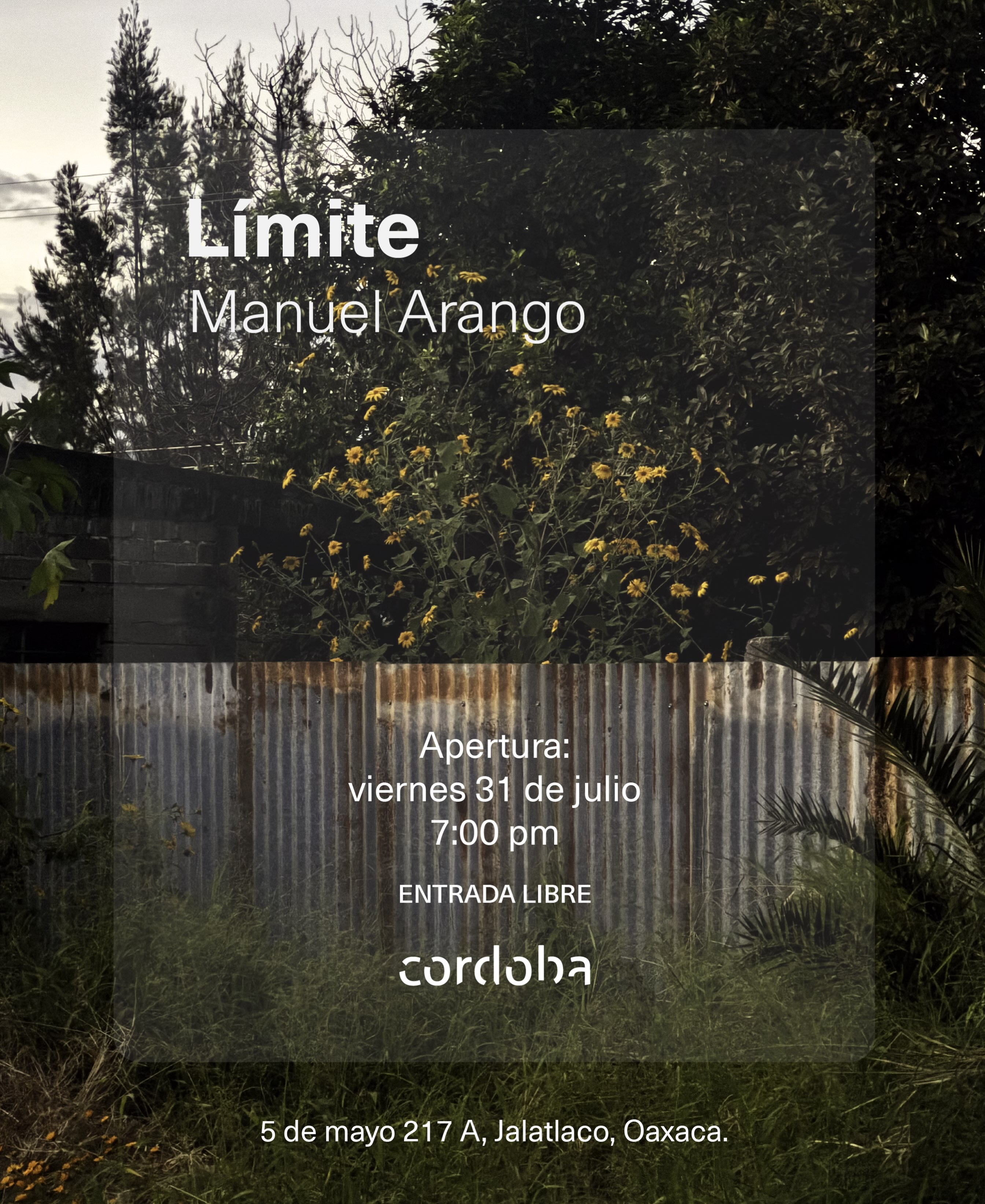 Caminar es el origen de esta serie. Manuel Arango recorre la ciudad hacia sus periferias, ahí donde la lámina — oxidada, remendada, invadida por la maleza — deja de ser solo un material y se vuelve memoria del territorio.
“Límite” — una exposición sobre los bordes que dejan de separar y empiezan a contar una historia.
Viernes 31 de julio · 7:00 pm · Entrada libre
Córdoba Lab, Jalatlaco