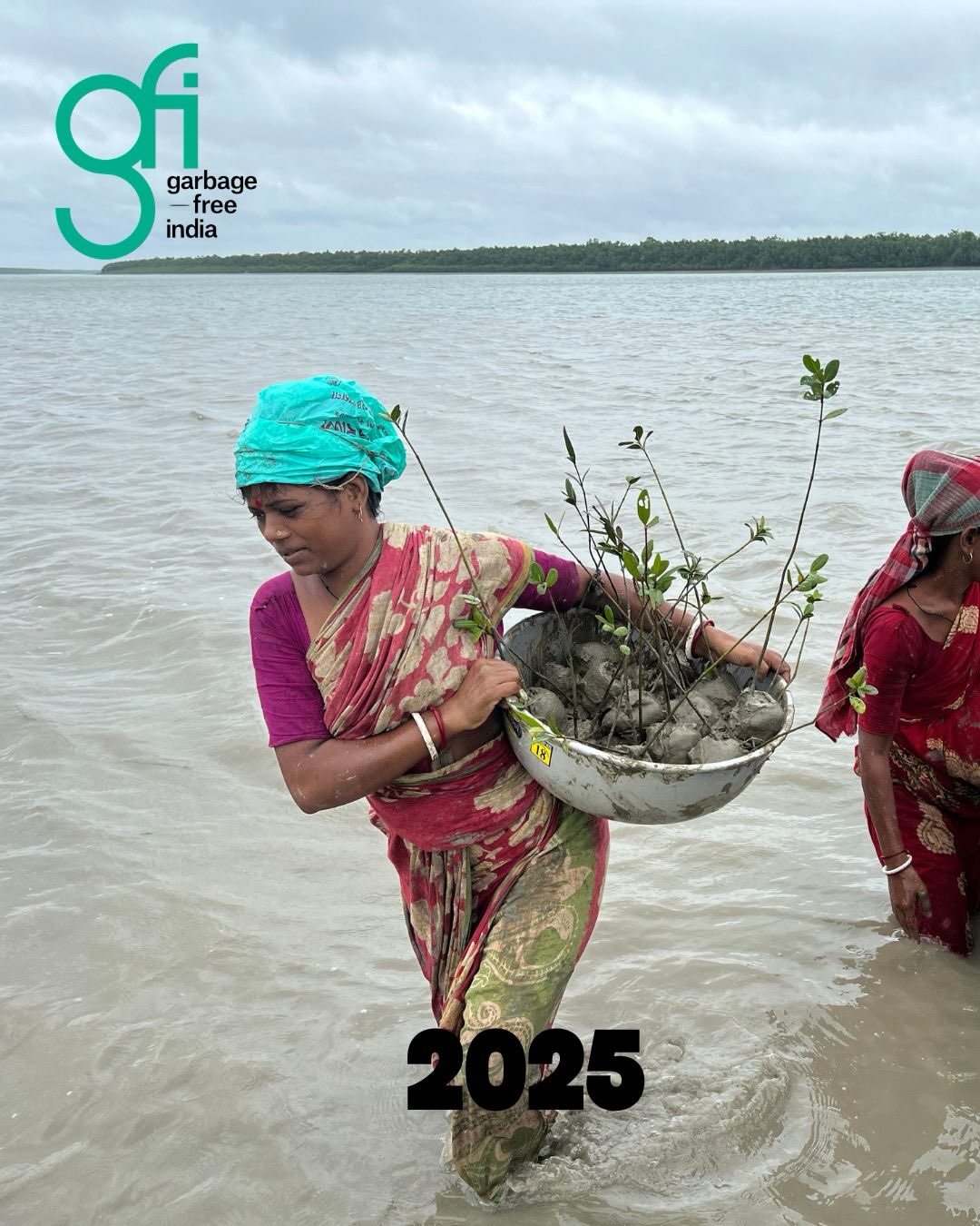 From Saplings to a Thriving Mangrove Forest!
On this International Mangrove Day,we're celebrating a milestone that reflects the power of collaboration and long-term commitment.
In 2025 Garbage Free India, in collaboration with the Meer Foundation (a KKR initiative), SGEA,and the dedicated efforts of Pranabesh Maiti and his team, planted 1,000 mangrove saplings in the Sundarbans.
Today, we're proud to see these mangroves thriving with an impressive 90% survival rate.This success has been made possible through continuous care, monitoring, and maintenance by Pranabesh Maiti and the local team, ensuring the saplings had the best chance to grow into a healthy mangrove ecosystem.
Mangroves are more than just trees—they protect coastlines from erosion, store significant amounts of carbon, support rich biodiversity, and strengthen communities against the impacts of climate change.
Together, we're not just planting trees—we're restoring ecosystems and building a more resilient future.
💚 Here's to every hand that planted, protected, and nurtured these mangroves.
#InternationalMangroveDay #Mangroves #Sundarbans #ClimateAction #EcosystemRestoration CoastalConservation NatureBasedSolutions GarbageFreeIndia MeerFoundation SGEA PranabeshMaiti RestoreNature