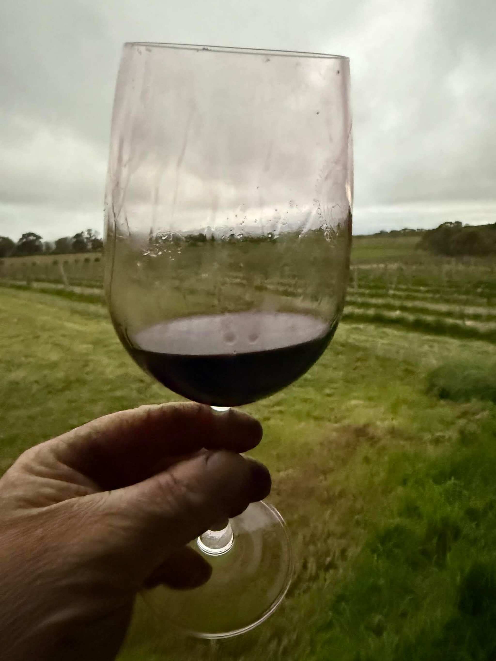 Broomhead + Healy Reserve Shiraz 2024
Selected from just 12 rows of Broomhead’s Schuller Road Vineyard, Blewitt Springs-McLaren Vale, vines planted 1965.
Basket pressed, aged 24 months in French Oak - 30% new.
Early September release New Zealand.🍷