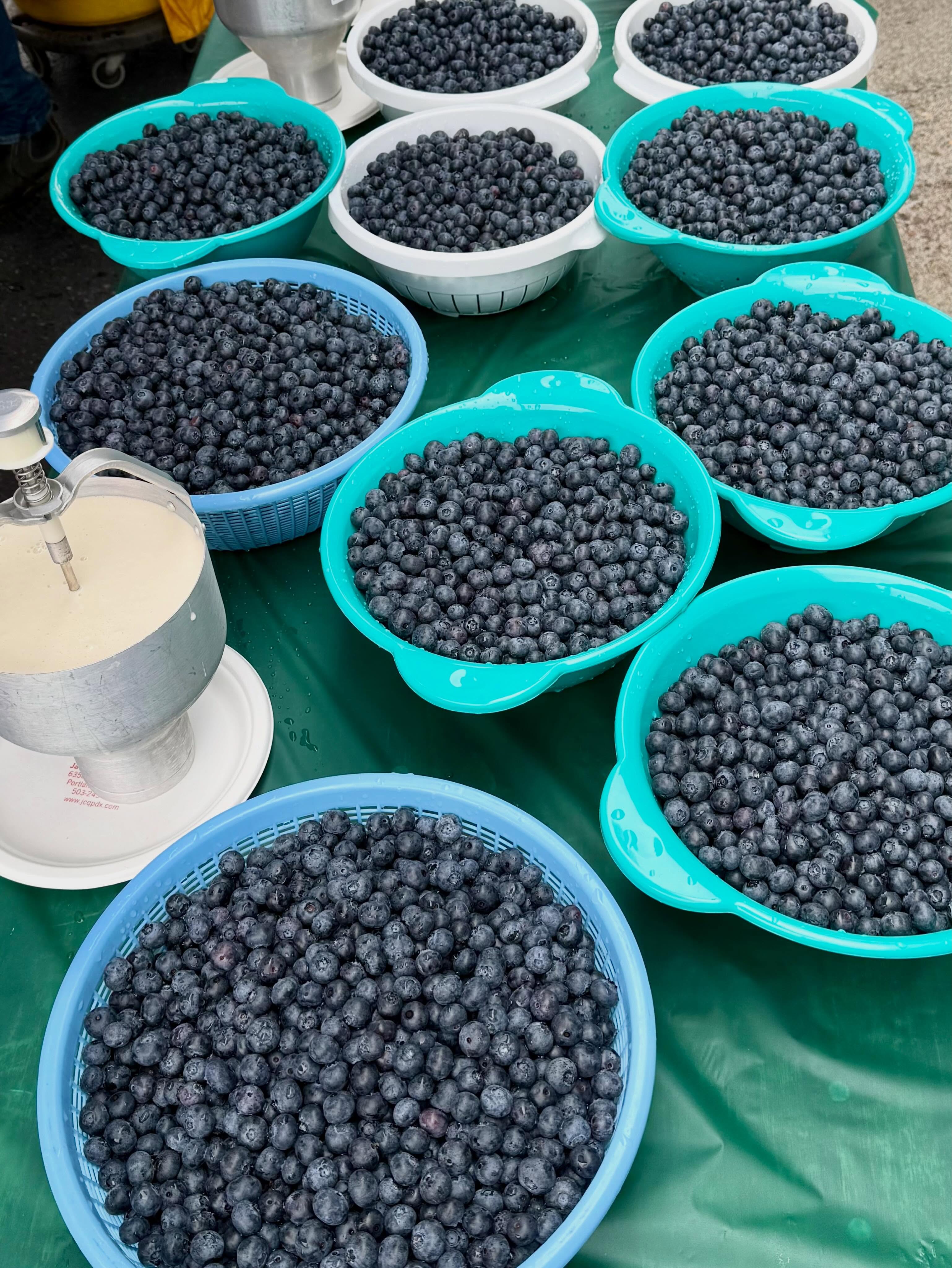 Thank you to every single person who came out for our 47th Annual Blueberry Pancake Breakfast last weekend! 🥞🫐
Big love and huge gratitude to our amazing team of volunteers who made it all happen. ✨
Between the delicious food, the neighborhood catch-ups, and the sweet live music, it was one for the books! Don’t forget to show off that new Hillsdale swag! 📸
#hillsdalepdx #hpba #pancakebreakfast #blueberrypancakes #community