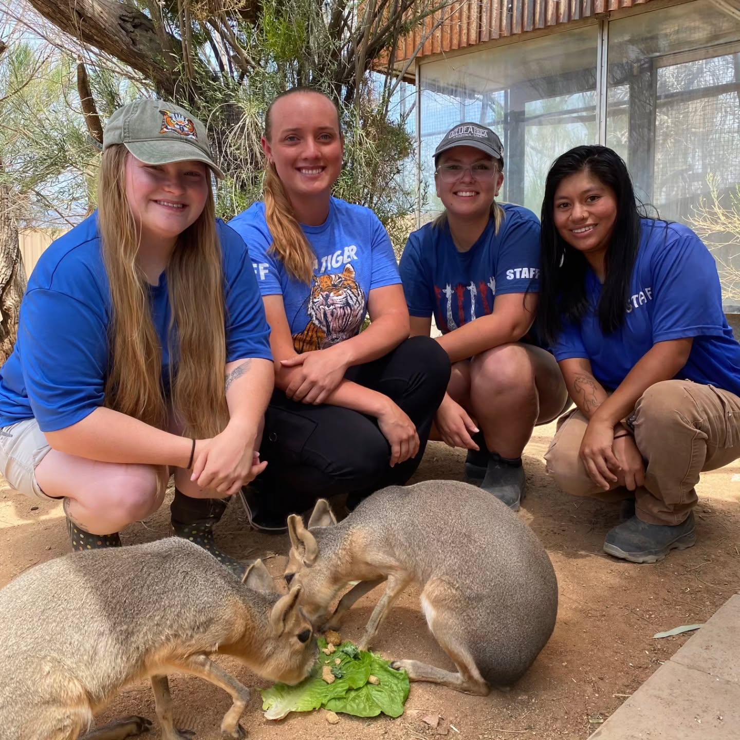 Our Small Mammals Department takes care of 34 animals including cavys, porcupines, skunks, sloth, lemurs and all the other cute little bitty fuzzy creatures at the park! There are 4 amazing keepers in this department: Cassity, Alyssa, Marcella and Robbi. These ladies do an amazing job making sure all the animals in their care are enriched, happy and healthy (on top of their many other responsibilities every day)!! Thank you for your dedication to the animals ladies! We appreciate you!
Happy National Zookeeper Appreciation Week!!