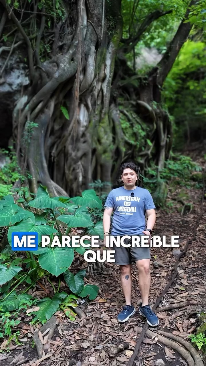@psimonmireles
En CEDHAP nos llena de orgullo presentar al Psicólogo Jorge Simón Mireles Meneses, quien comparte contenido de valor para fortalecer la salud mental, las relaciones familiares y el desarrollo humano.
En esta reflexión nos invita a comprender que las familias fuertes no son las que piensan igual, sino las que aprenden a comunicarse, respetarse y crecer juntas.Te invitamos a seguir su contenido y a acompañarnos en este camino hacia un mayor bienestar emocional.
#CEDHAP #JorgeSimónMireles #Psicología #SaludMental #Familia