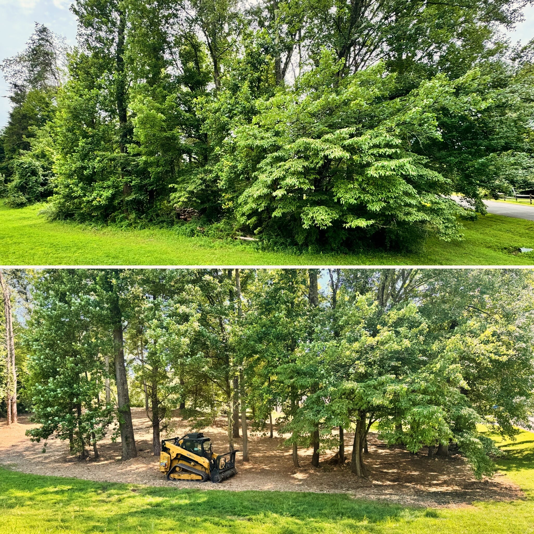 Helping our client reclaim and restore his land in Clifton, VA.
•
•
•
#landtransformation #beforeandafter #landmanagement #reclaim #northernvirginia