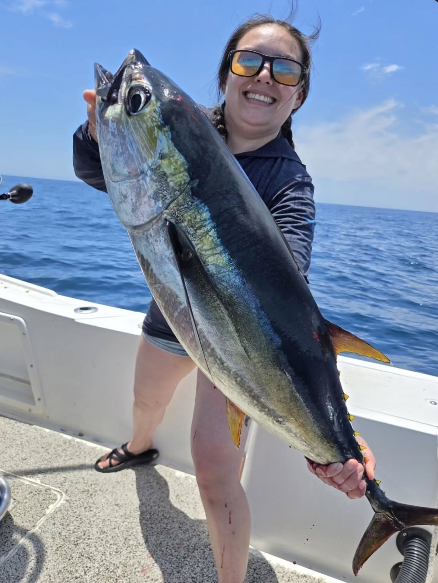 I have so much respect for Tuna fishermen. These things are like trying to reel in a bullet train! Tuna have a torpedo shapped body to reduce drag, fins that can be retracted and fit into specific groves, and a crescent shaped tail that provides a lot of power. Amazing creatures!
