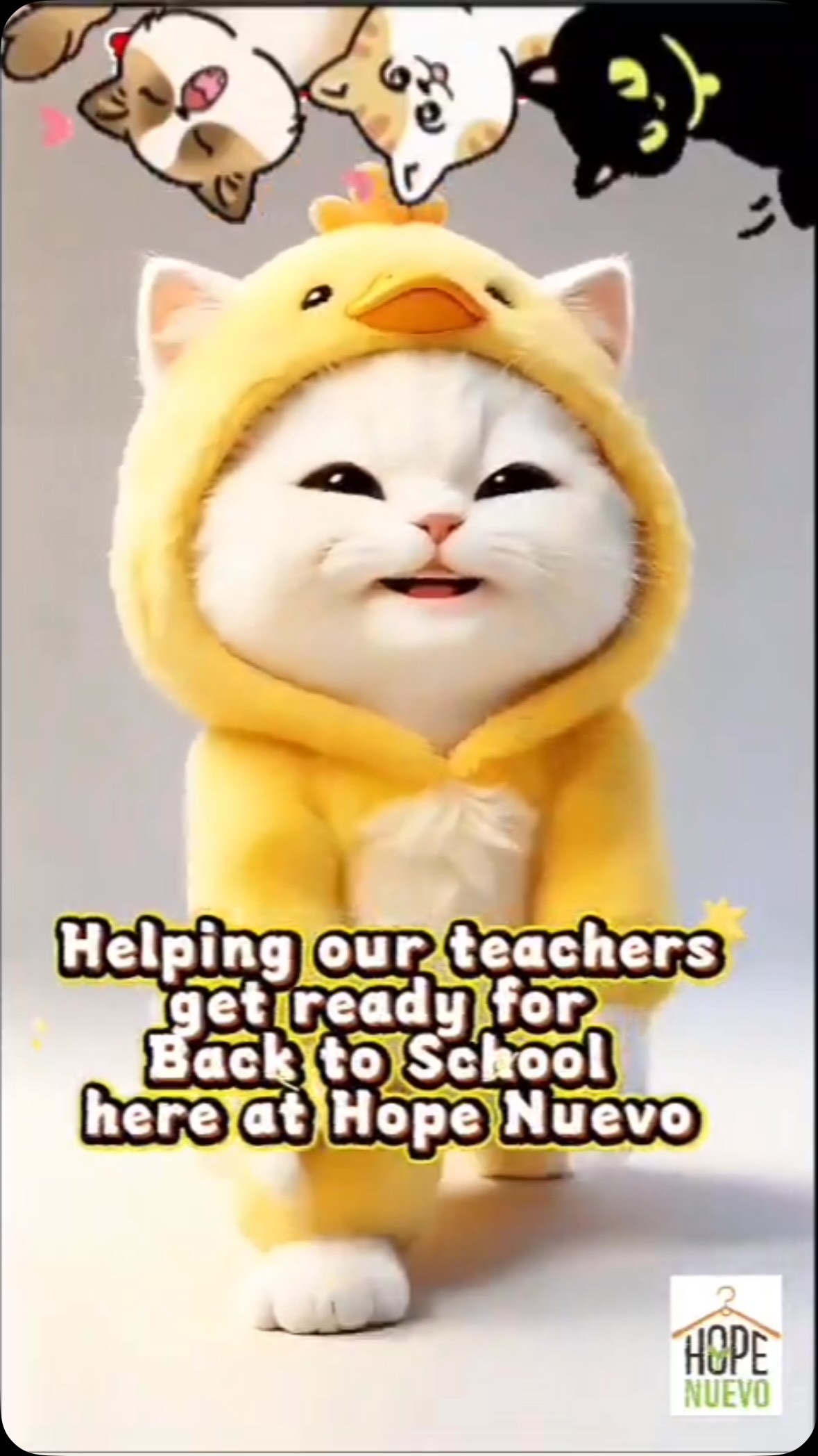 When the staff takes over the video editing, it looks like this! Teachers, come shop at Hope Nuevo and find lots of your supplies for the upcoming year #thriftstore #teacher #sanjose