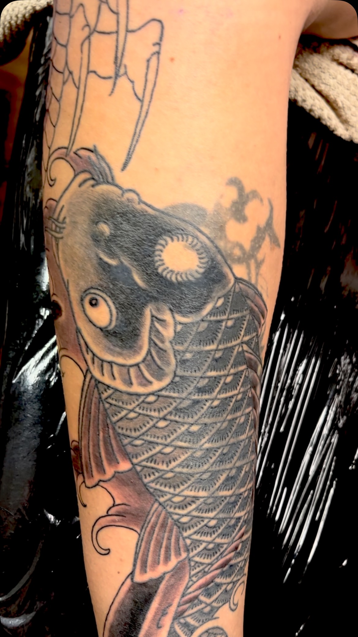 Der Koi mit den zahlreichen Details ist Teil von einem kompletten Beinsleeve. Mein Kunde hatte ein ziemlich großes „Tattoo“ das wir covern mussten. Nach fertig stellen des ganzen Projektes, wird von der Gurke nichts mehr zu sehen sein. Folgt mir, wenn ihr den Fortschritt weiterverfolgen wollt. 🇬🇧 This highly detailed koi is part of a full leg sleeve. My client had a rather large „tattoo“ that we needed to cover up. Once the entire project is finished, nothing of that old mess will be visible anymore. Follow me if you want to keep up with the progress. #tattooleipzig #horimono #irezumi #tattoodresden #tattoojena