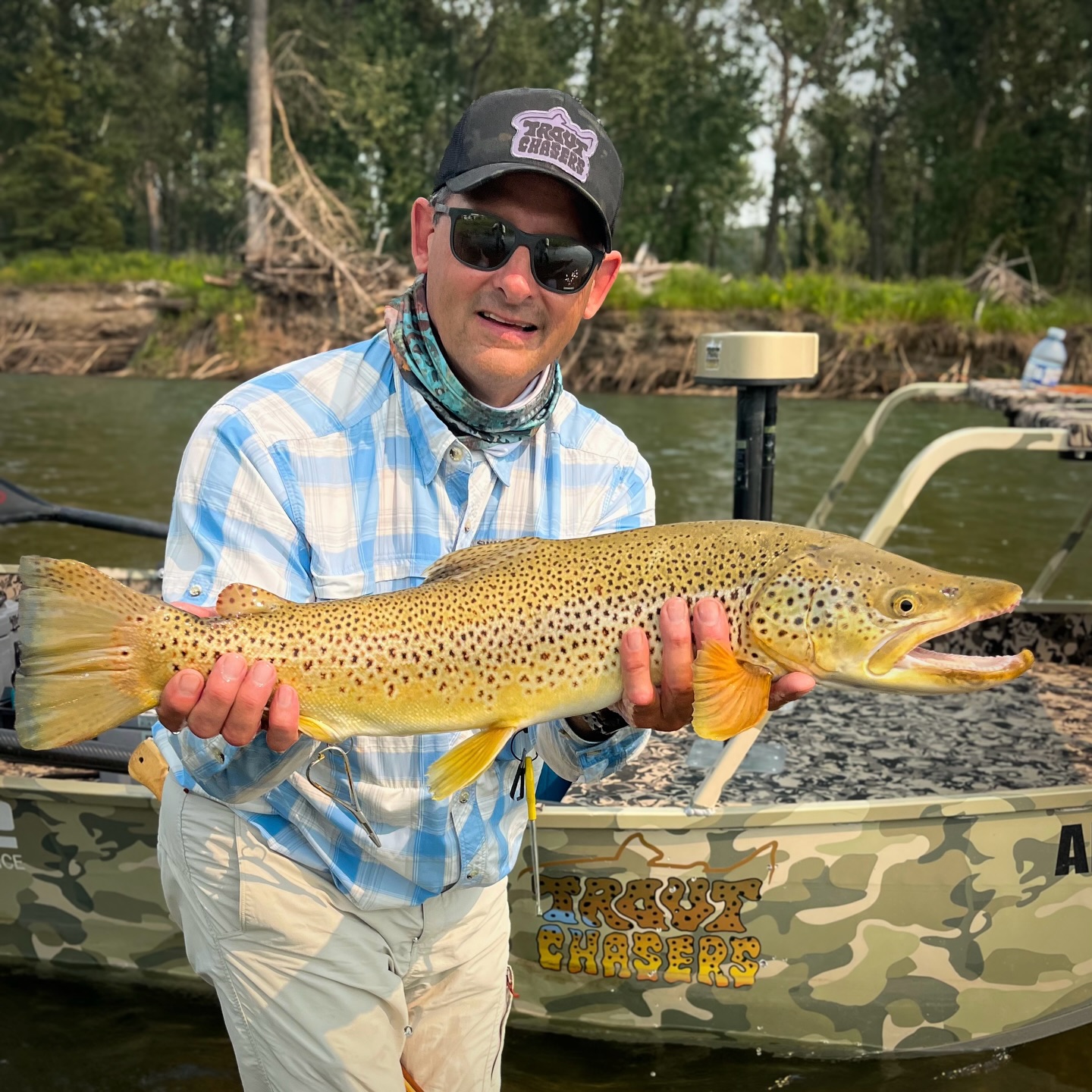 If the Mighty Bow wasn’t already on your radar as one of the best trophy fisheries on earth…. The big yellow fish are eating dry flies! Does it get any better??
#sageflyfish #perfectingperformance #scientificanglers #flyfishing #bowriver