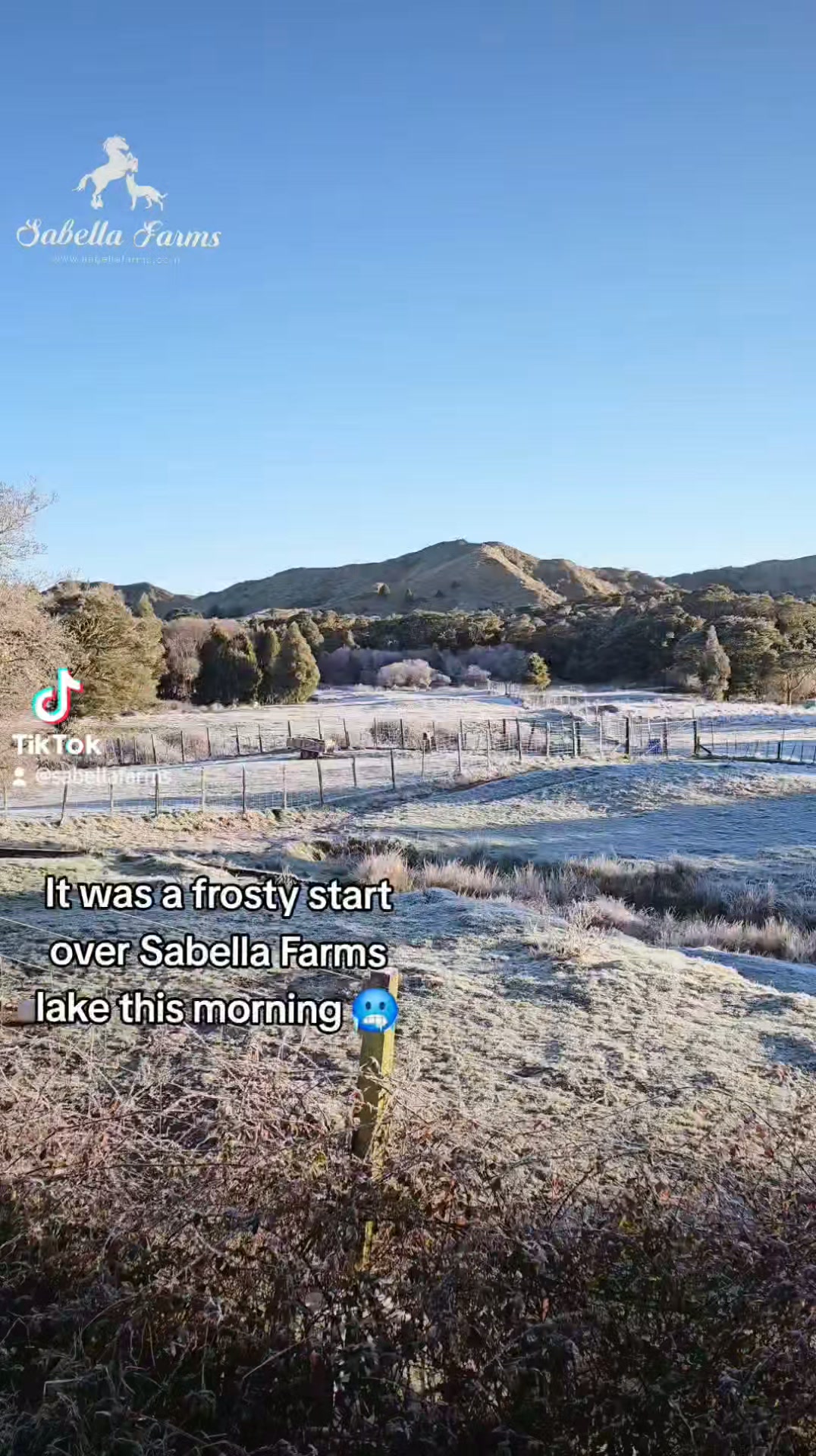 It was a frosty start over Sabella lake this morning! 🥶
#sabellafarms
#farmlife