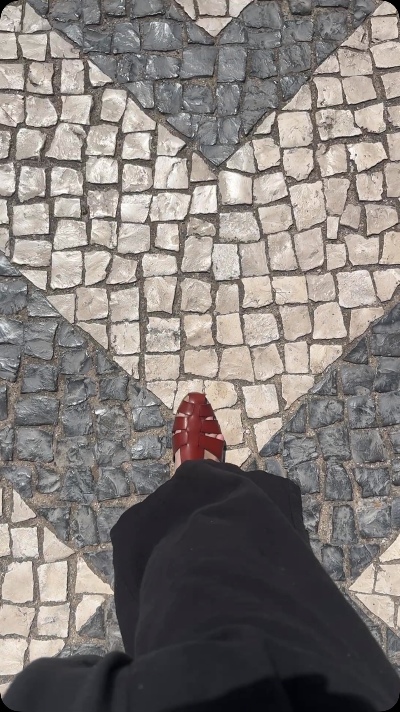 Came to Portugal for the views. Stayed distracted by the sidewalks.
I’m sure the architecture was beautiful.