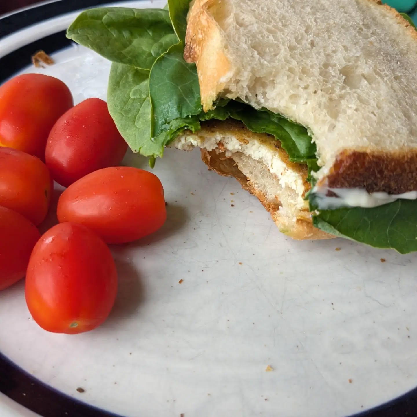 It's sandwich season here on the farm! Seasoned tofu, nasturtium leaves, spinach and mayo are a quick and easy meal at the end of a long day weeding and harvesting.