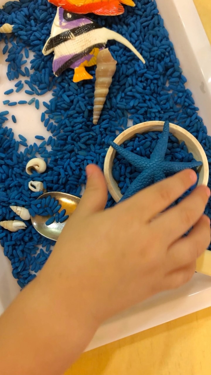 🌊 Piccole mani esplorano il mare! 🌊
Tra conchiglie, e animali marini, i bambini sperimentano il piacere del travaso, sviluppando concentrazione e coordinazione.
