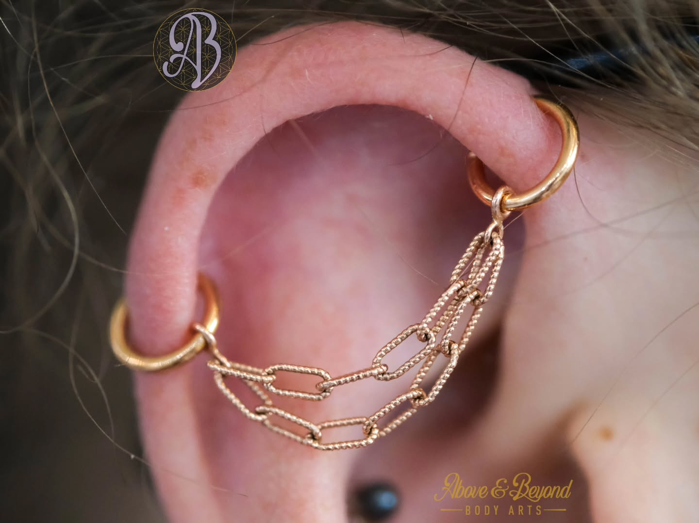 We posted pictures of this chain when it arrived in studio, but we never posted it in our client's ear 😱 And this beauty is too cool to be ignored!!
This "Mercutio" double chain, as well as the seam rings, are solid 18k rose gold from @bvla being used to create a chain industriao look. We helped Jordan get measured up so that it lays exactly how he wants it, and it was well worth the effort 💜
📷: @50percentsnakes
#industrialpiercing #bvla #chain #santabarbara #piercing