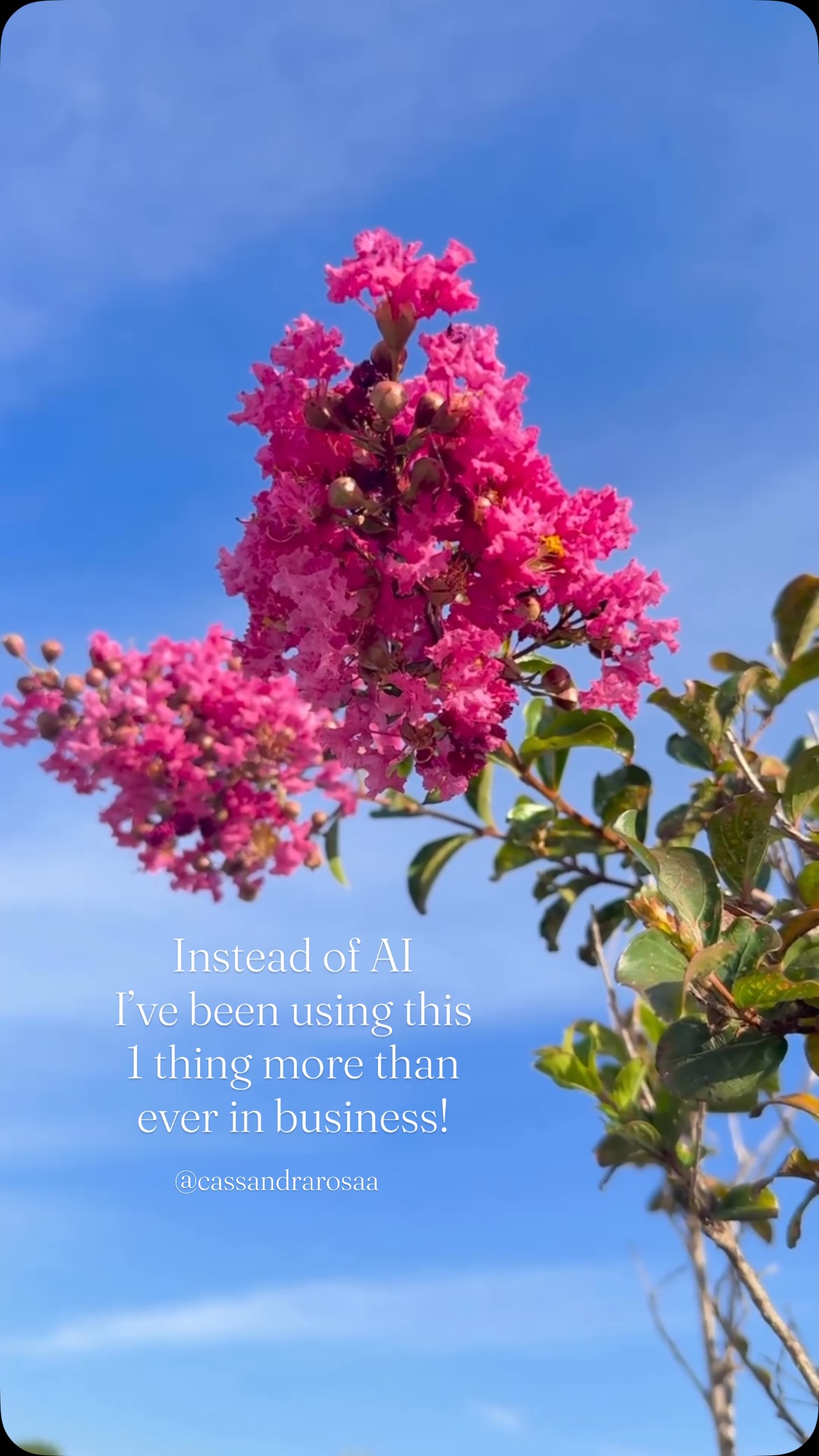 This may be controversial but I’m not using AI in my business right now.
Something about it freaks me out and in my gut I get a no whenever I consider using it. Because of that I’ve never tried it before.
I’ve been using this one thing instead more than I ever have before.
My intuition! ✨
It’s something AI can’t replicate!
The content that pours out from my heart,
the intuitive messages that are shared in a client session,
the live videos that are created by connecting with the viewers,
the deep soulful connections created in business AI just can’t do!
So I may be one of the few who has never used Chat GPT but at this moment in time I choose my intuition over AI!
I want to hear from you! Do you use AI in your business and or are you connecting more with your intuition?
Let’s chat about it 👇🏼