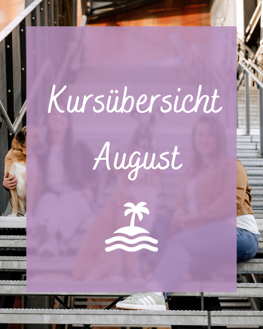 unsere Kurse & Gruppenstunden im August 🏖️🐬☀️