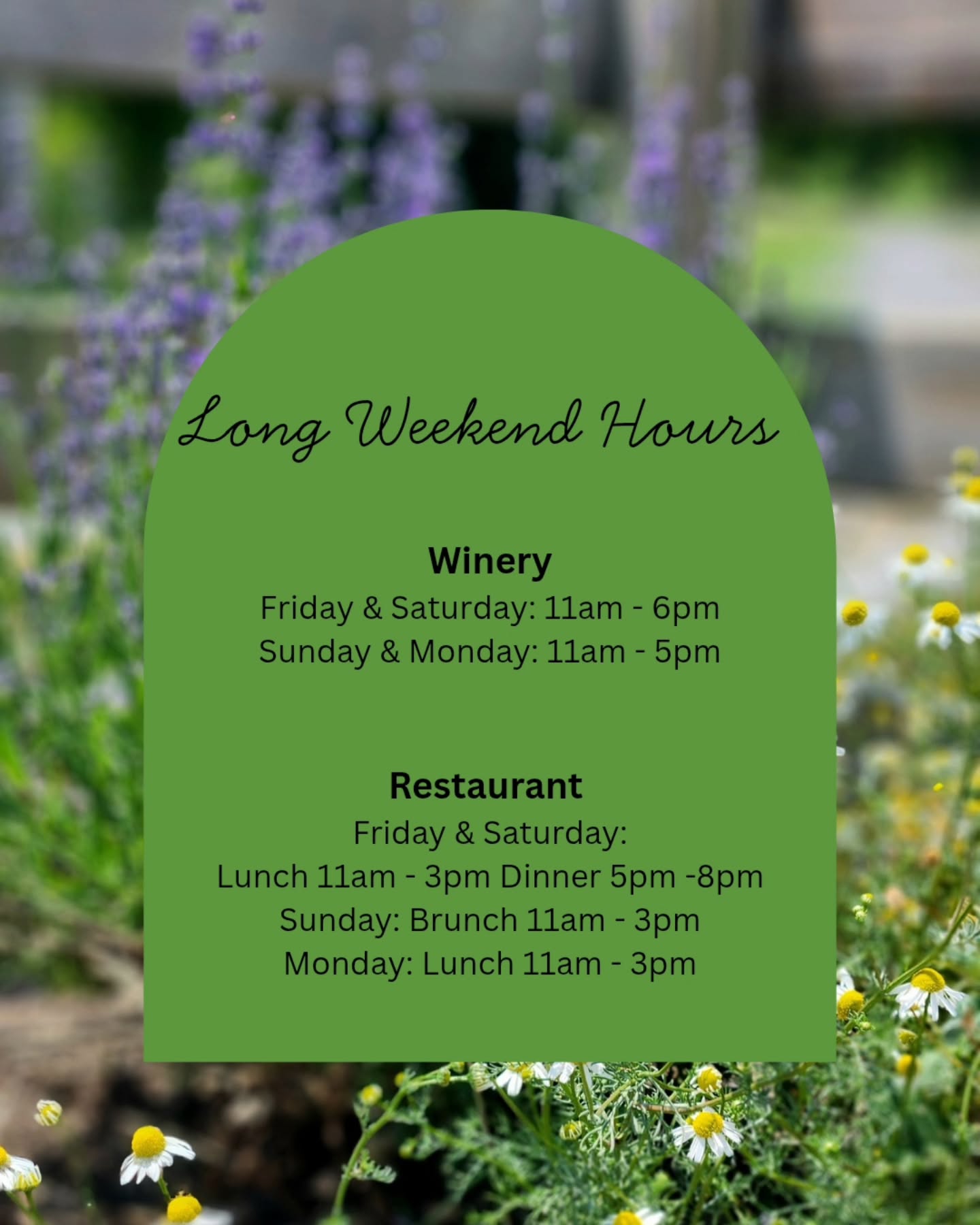 Make the most of the long weekend with a visit to Waupoos Estates Winery!
Whether you're joining us for a wine tasting, a leisurely farm-to-table meal, or simply taking in the beautiful waterfront views, we'd love to welcome you.
Winery Hours
Friday & Saturday: 11 AM – 6 PM
Sunday & Monday: 11 AM – 5 PM
Restaurant Hours
Friday & Saturday
Lunch: 11 AM – 3 PM
Dinner: 5 PM – 8 PM
Sunday
Brunch: 11 AM – 3 PM
Monday
Lunch: 11 AM – 3 PM
Gather your friends and family, soak up the long weekend, and enjoy everything Waupoos has to offer. See you soon!
#WaupoosWinery #PrinceEdwardCounty #LongWeekend #PECWine #farmtotable