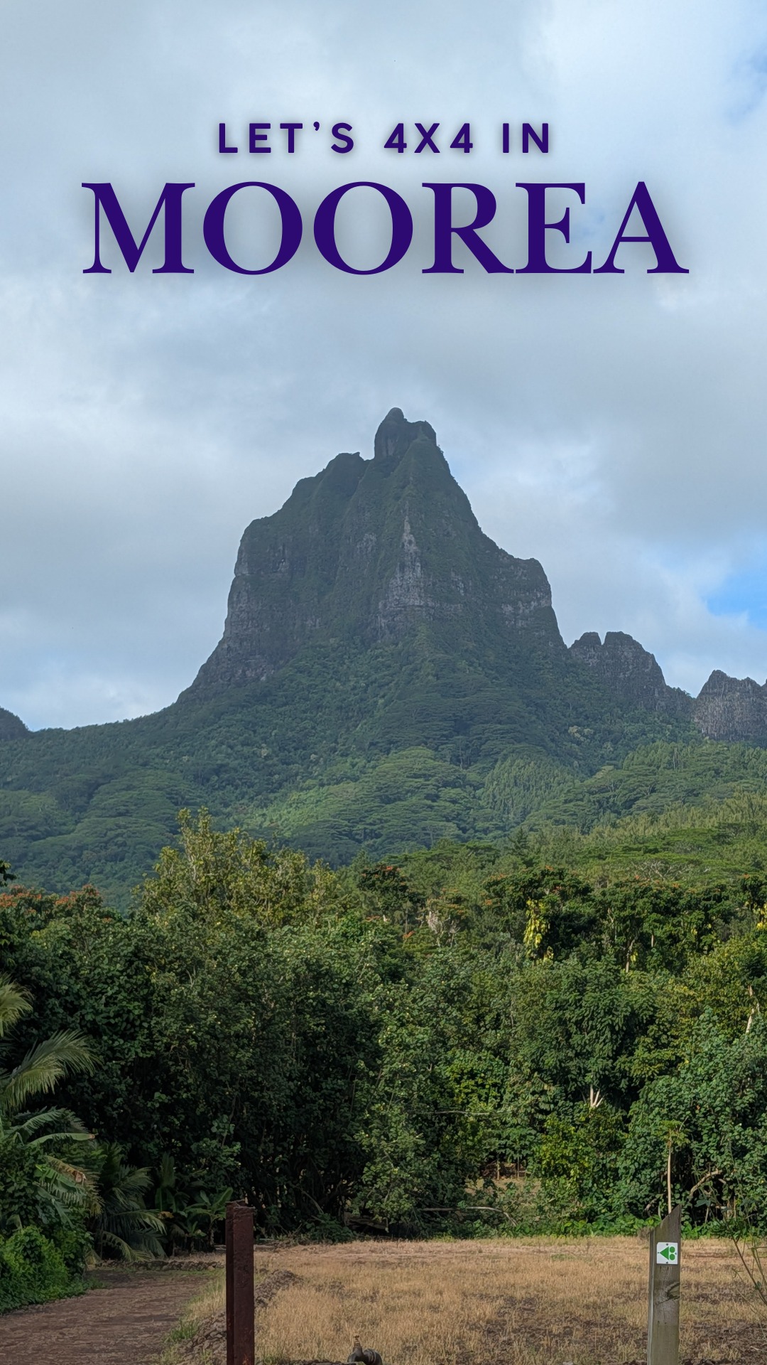 We did a 4x4 tour through the interior of Moorea and it gave us a completely different side of French Polynesia than the beaches and lagoons.
We fed eels in a river, stopped at a pineapple farm, sampled tropical jams and fresh smoothies, and took in some of the best elevated views of the island we could have asked for. The interior of Moorea is lush and dramatic in a way that surprises you if you only came expecting turquoise water.
If you're spending time on Moorea, get off the coast for at least a day. The 4x4 tour is one of the best ways to do it. 🍍
#Moorea #FrenchPolynesia #Moorea4x4 #MooreaTravel #PineappleFarm #FrenchPolynesiaTravel #TravelReels #PacificIslands