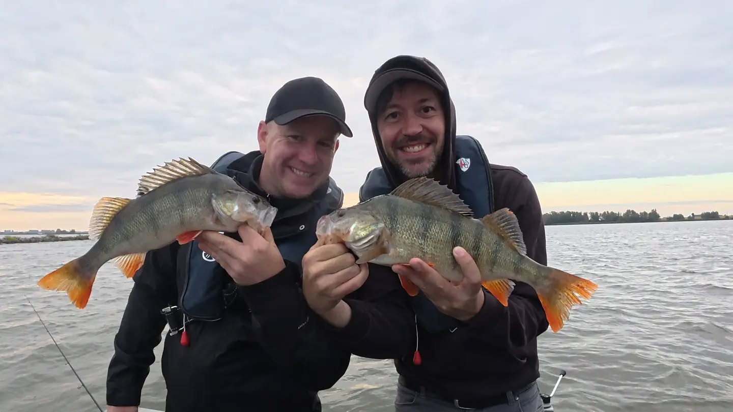 A nice surprise during our zander trip. While we were focused on catching zander, these two anglers hooked into a couple of quality perch instead. Always a fun change of pace and proof that you never quite know what's waiting below.
#yamahaprofishing #batterylabs #stcroixrods #spro #delalandepeche