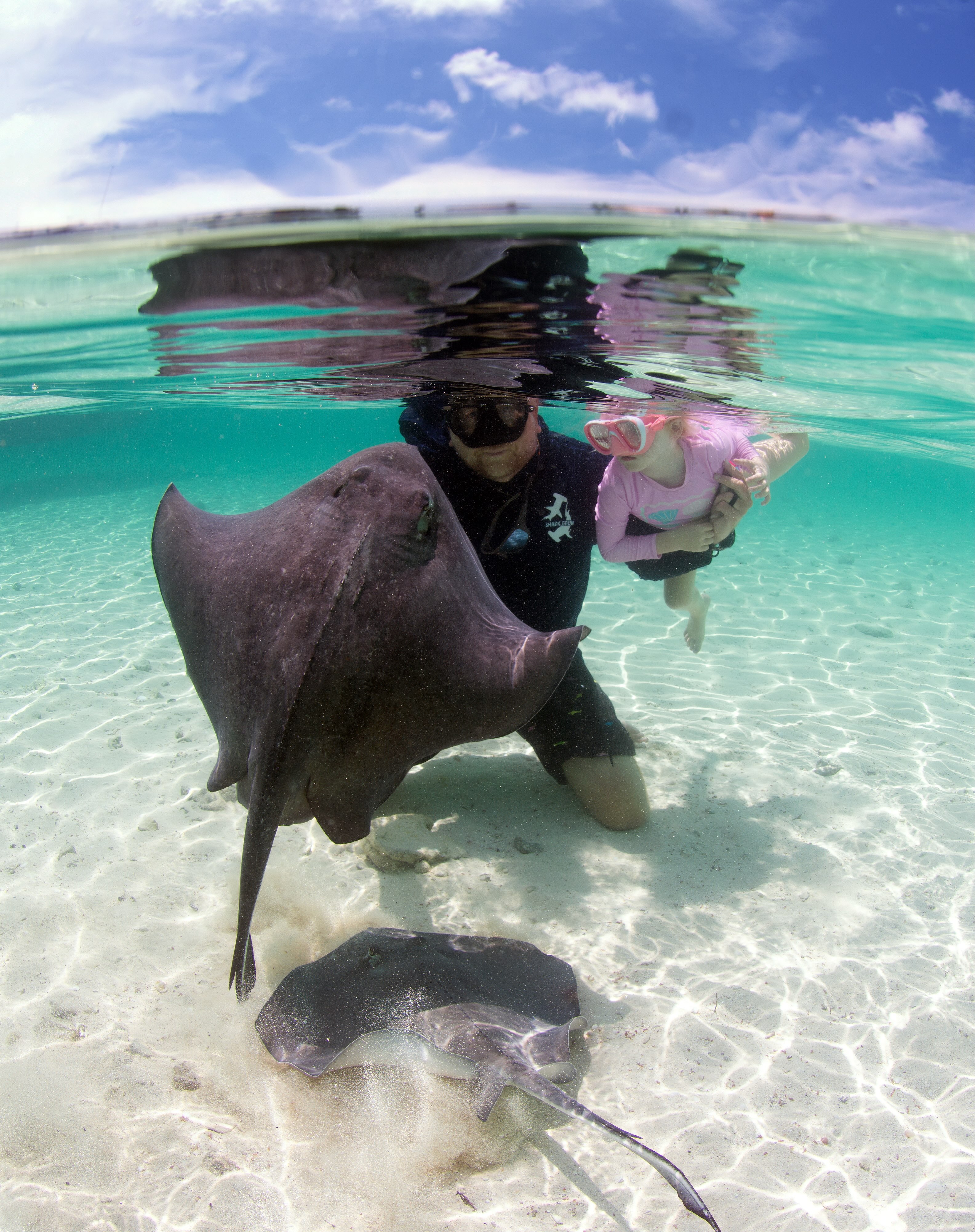 HAPPY 6TH BIRTHDAY to my beautiful, spicy, smart, velociraptor, princess!!! You are going to take over the world some day - I feel blessed that you are part of our lives and we get to share our world with you ! YOU ignite that original excitement and passion reminding us of our first experiences - @biminisharkgirl @wildoceanmama #girldad #sharks #wanderlust