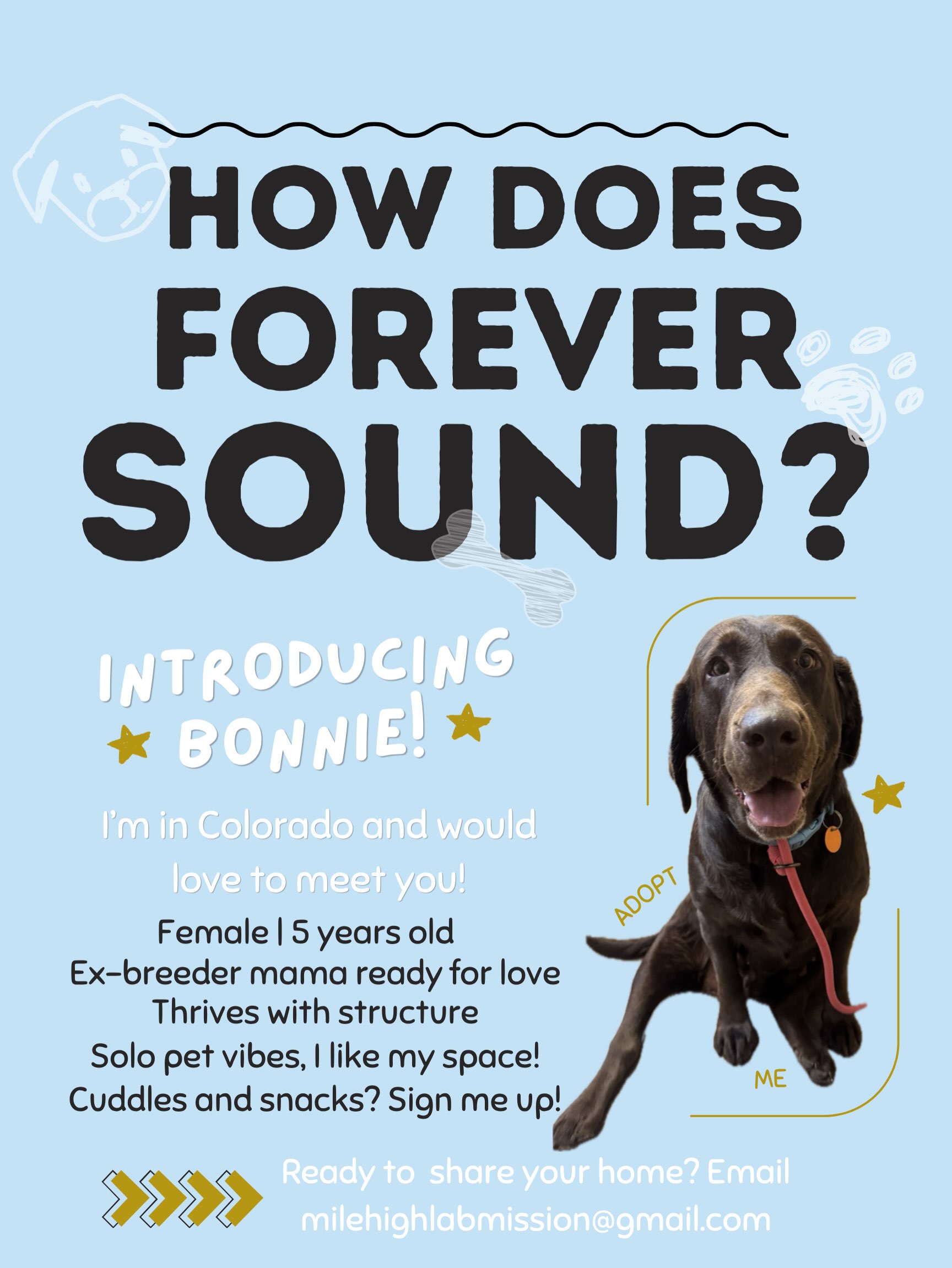 ***ADOPTED***
HEY YOU! STOP SCROLLING! 🤎
Bonnie has been waiting for her forever family for FAR TOO LONG! Day after day, she watches all the other pups get adopted while patiently waiting her turn. Through it all, Bonnie remains hopeful in her foster home… just waiting for the moment she meets her new pawrents. Could they be you?!🫵🏽
Bonnie is 5 years old and retired from bringing new pups into the world! It’s time she gets some love and affection of her own.🩵She would love a home that’s calm, structured and with no other pets in it. She likes to be the center of attention and we don’t blame her!
Help us spread the world! Share this post and let’s get Bonnie home. In the meantime… she’ll be dreaming of you, cuddled up on the couch with her favorite snacks and toys.💤
🔜If you are already an approved adopter and want to meet or adopt Bonnie, please contact your adoption coordinator. Or you can fill out an application to be her FOREVER at mhlrm.com!