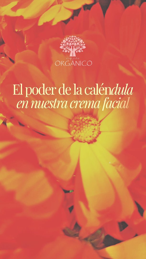 Crema Facial Regeneración Celular 🏵️✨
Enriquecida con caléndula en doble maceración, rosa mosqueta y yerba mate.
Rica en antioxidantes, nutre a profundidad, repara los daños causados por los radicales libres y protege tu piel de las agresiones externas.
Su textura rica y aterciopelada de rápida absorción te brinda una hidratación y humectación duradera, con una sensación de frescura inmediata.
Con el uso continuo, notarás tu piel más suave, luminosa y visiblemente rejuvenecida, con líneas de expresión reducidas y un tono más uniforme.
#cuidadofacial #natural #cosmeticanatural #organico #calendula