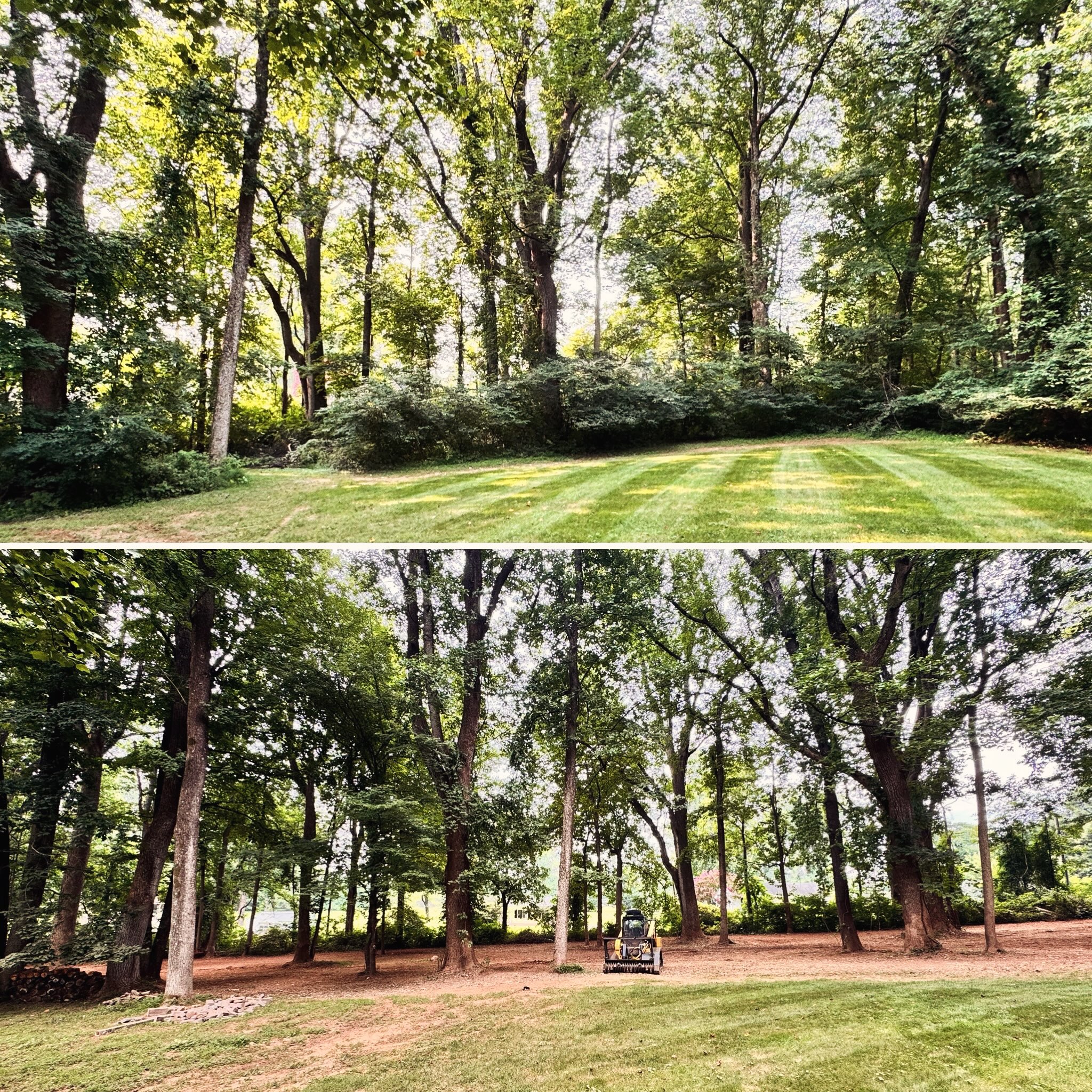 Another successful property transformation completed for our clients in Warrenton, VA.
•
•
•
#forestrymulching #reclaim #transformation #beforeandafter #landclearing