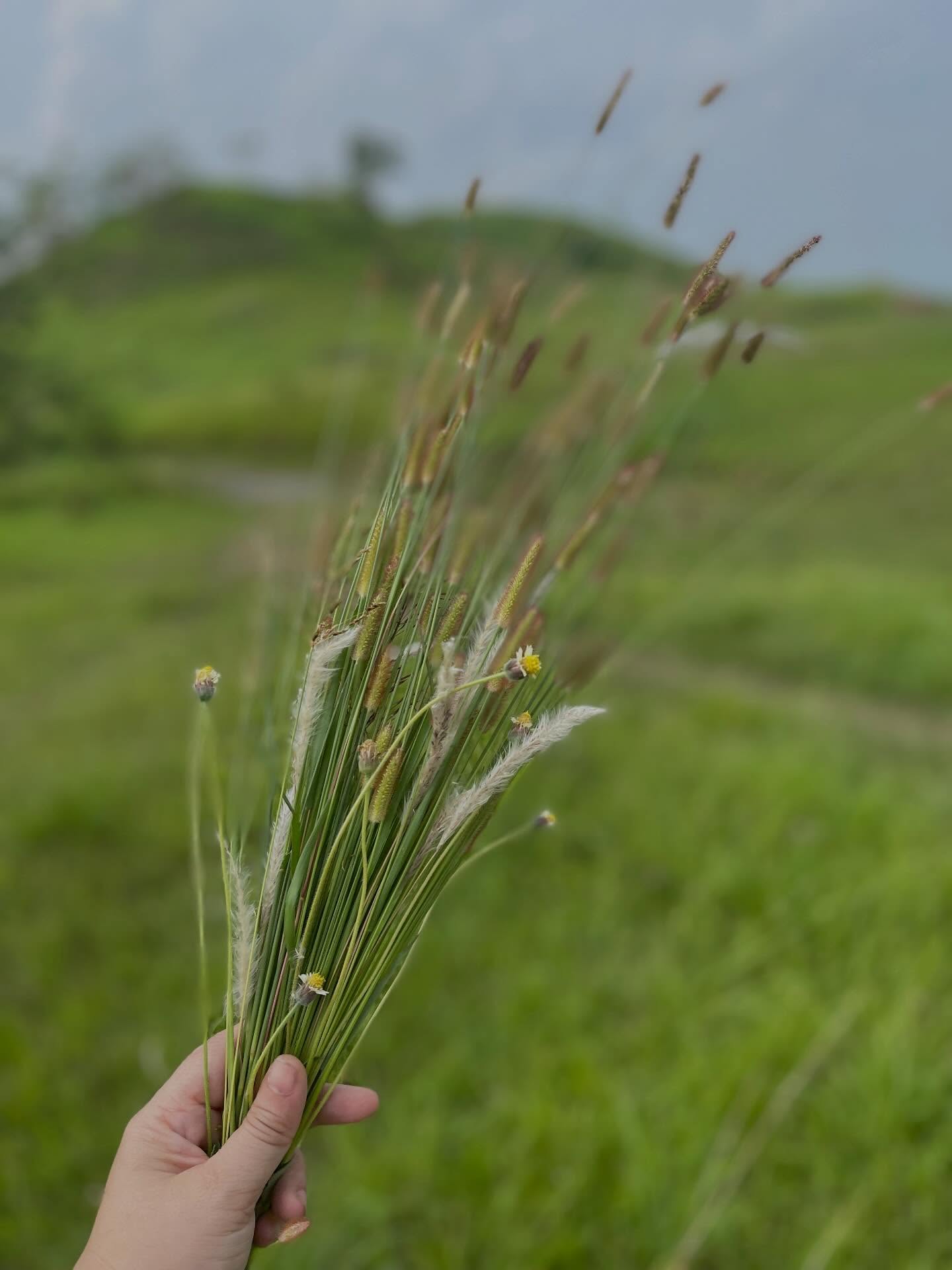 The fields at the farm calls....but first to @creations_handmade_ph we go.