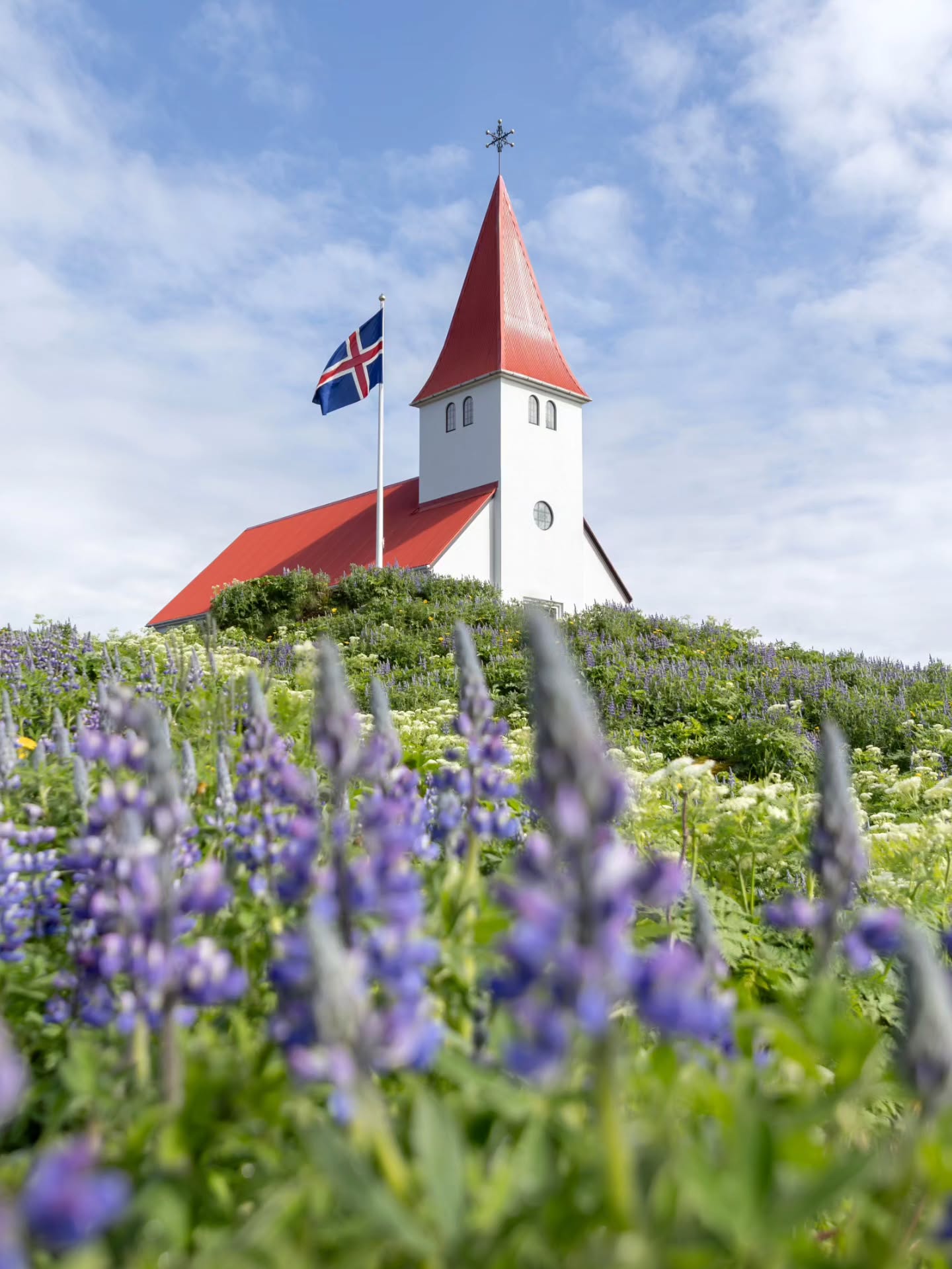 L ú P í N A
Can't get enough of these lupins in summer. For a few months, the hills in Vík turn purple. For an invasive species, they sure look good 🇮🇸
#iceland #travelphotography
#travelgram #flowers #summer