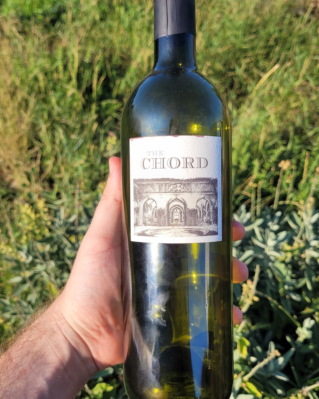 The estate's entry-level blend — and the best version of it I've tasted.
Lacules Estate The Chord 2022 – Koroni, Messenia | 93/100 🍷
The Chord is the little brother at Lacules Estate (@lacules_estate) in Koroni, Messenia — the approachable one, €24 in the estate's own shop, against the ~€51 single-varietal Estate wines. The recipe shifts every year; the 2022 is 50% Grenache, 30% Cabernet Sauvignon and 20% Syrah at 14.5%, aged in barrel.
Good wood on the nose, juniper, dried blueberry. On the palate it holds back for a beat — then comes at you with a full broadside: fresh blueberry, plum, a touch of caramel, a long finish, and 14.5% so well integrated nothing feels heavy. Opulent, with a late savoury note of olive tapenade. It slots to the top of my own Chord vertical: the 2019 at 91 (tasted 2022, at three years) then 92 (2024, at five), the 2021 at 92+ (2024, three years) — and this 2022 above them all. Around €24. 93 points.
Grenache-led Greek reds — sleeper hit, or not for you? 👇
#GreekWine #Grenache #Peloponnese #Messenia #RedBlend