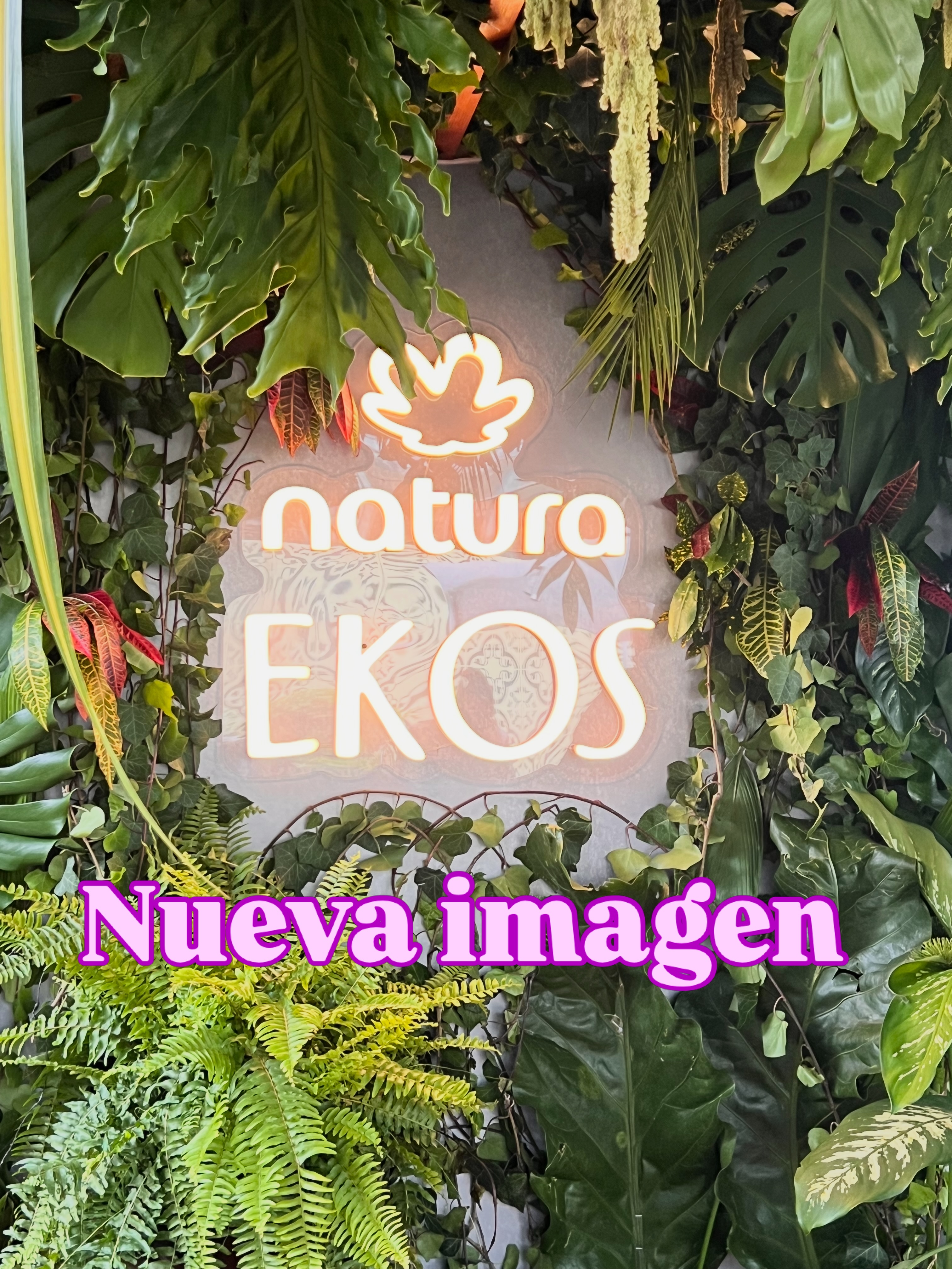 @natura.mexico se renueva de la mano de una de sus líneas más irónicas #EKOS y seguro en casa tienes uno de estos productos