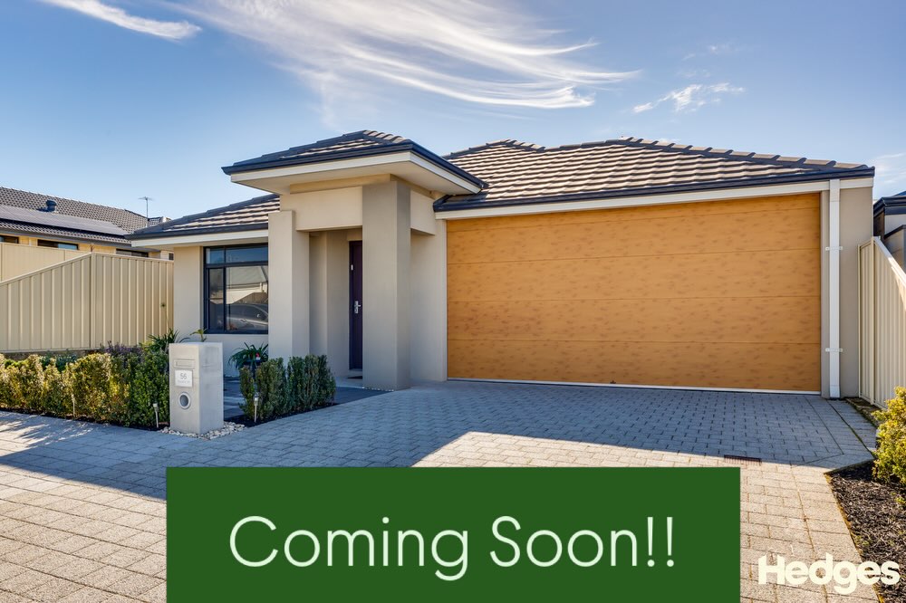 COMING SOON!!
56 Toledo Dr, Hocking
Viewing this Sunday - Want more info? 🤙🏼 Sam 0422 530 026
#comingsoon #newlísting