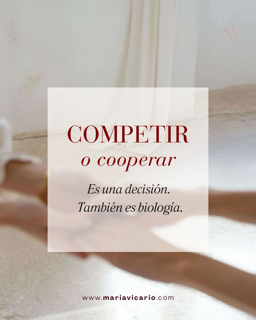 Elijamos la cooperación. Ser inspiración y ser inspiradas.
Todo lo demás es una metaprogramación que sostiene la herida de la hermandad.
Al final te recuerdo nuestro ritual corregulador🤎
#comparación #competencia #porges #capaembrionaria #sistemanervioso