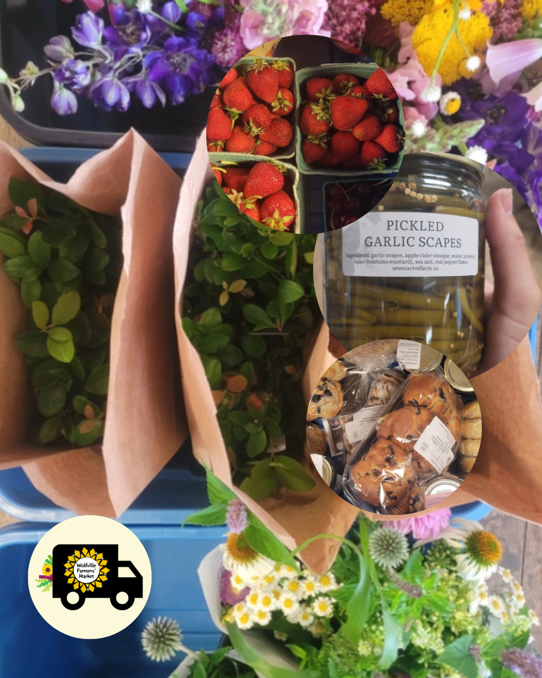 Ordering for the week is now open!! 🌻
Seasonal goodness awaits you, make your order at wfm2go.ca and use code NSLOYAL10 for 10% off all orders🫶✨️🌿☀️
Highlighted & New products this week include:
🌱Purple Basil, Celery, Nettles, Dried Chive Rings, Lavender Sachets, Chamomile Tea & Garlic from Herbal Hill Farm
🌱Zucchinis from Medford Farms
🌱Onion Nettle Kraut & Candied Jalapenos from Seven Acres Farm
🌱Fennel from What on Earth Farms
🌱Sustainable Blue Salmon from Afishionado Fishmongers
🌱Calendula Flowers from Nerdy Girls Farm
🌱Ground Goat from Cape View Farms & Sons
🌱Italian Oyster Mushrooms from Evermore Mushrooms
🌱And much, much more!✨️
#wolfvillefarmersmarket #wolfville #annapolisvalley #novascotia #farmersmarket #wfm2go #shoplocal #eatlocal #buylocal #supportlocal #freshproduce #community #letsdothis