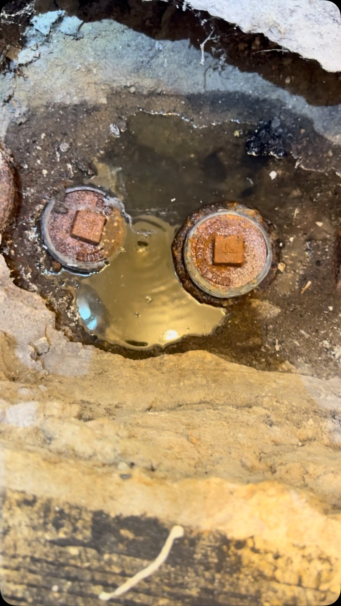 Another Satisfied Customer 💪
Sewer main backed up in laundry room 🚨
We came and assessed and noticed grease build up in line
Cleared stoppage and will schedule for high pressure water jet and camera inspection as this is the third time this year the customer has had a back up 🚨
Don’t Wait Until It’s Too Late! Contact us now for a free estimate to ensure your drain systems are running the way they need to be!
- Preventative Maintenance Contracts 📋
- High Pressure Water Jetting 💧
- Camera Pipe Inspections 📸
- Grease Trap Service Contracts 📋
- Plumbing Repairs 🧑🔧
- Water and Sewer Line Repair / Replacement 🚧
- 24/7/365 EMERGENCY 🚨 SERVICE ❗️
REFERRAL PROGRAM ALWAYS ACTIVE!
RECEIVE PERCENTAGE OF EACH PROJECT YOU SEND! 🔥 #plumber #nyc #sewer #plumbing #drain