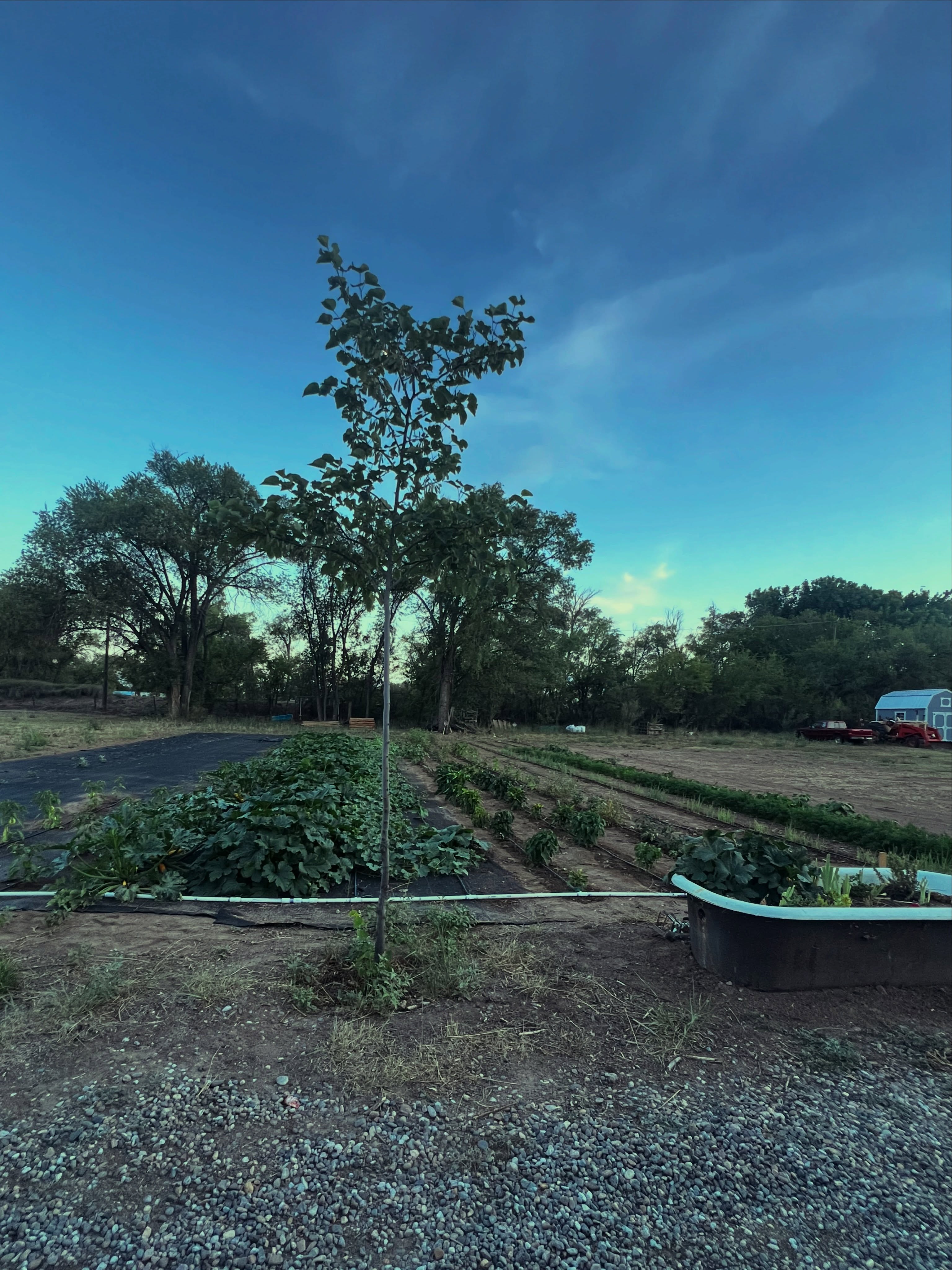 Remember to grow through what you’re going through. Take plenty of vacations 🤍😊 Stay at Red Horse Bnb 🌱