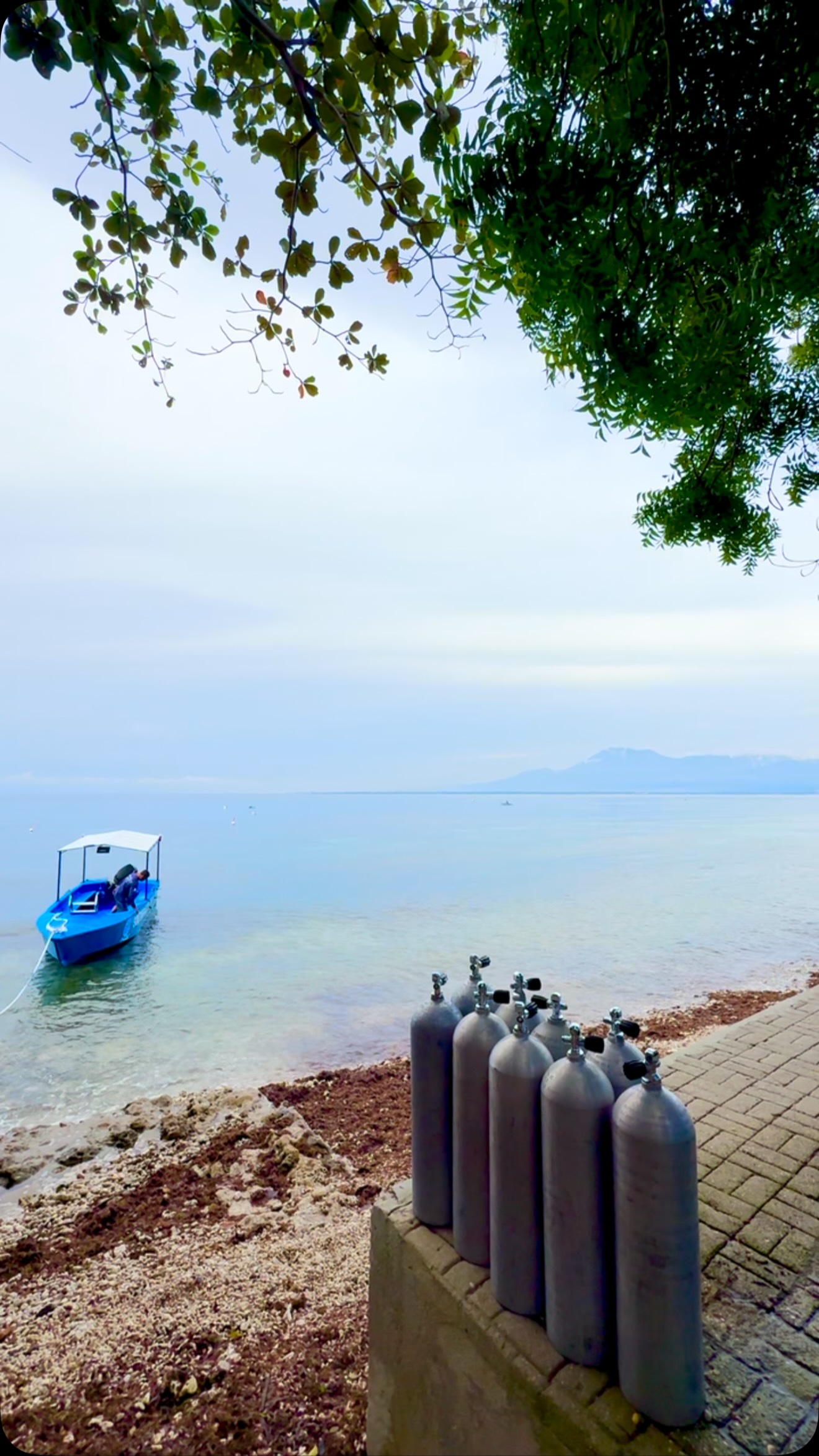 South Seas slow mornings, easy prep, calm seas, and endless blue. Just the way every dive day should begin.
For Scuba courses and bookings & inquiries:
Email: diveandstay@southseasbrdc.com
Whatsapp: +63 956 305 1200
.
.
.
#diveinsouthseas
#divesantandercebu
#ssbrdc
