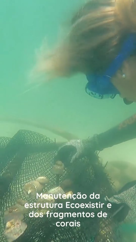 Vem acompanhar um dia de monitoramento na Área de Restauração Ecológica de Corais da Piscina do Seixas, por meio do nosso novo projeto Maré Sustentável! 🌊🪸
Nossas piscinas naturais abrigam uma rica biodiversidade e desempenham um papel fundamental para o equilíbrio dos ecossistemas marinhos. Durante o monitoramento, avaliamos o desenvolvimento dos corais restaurados, registramos a fauna associada e acompanhamos a saúde desse ambiente tão especial.
Cada visita ao campo representa mais um passo na conservação dos nossos recifes e reforça a importância de proteger esse patrimônio natural para as próximas gerações.
Acompanhe essa jornada e descubra como a ciência, a conservação e a educação ambiental caminham juntas em prol do oceano. 💙