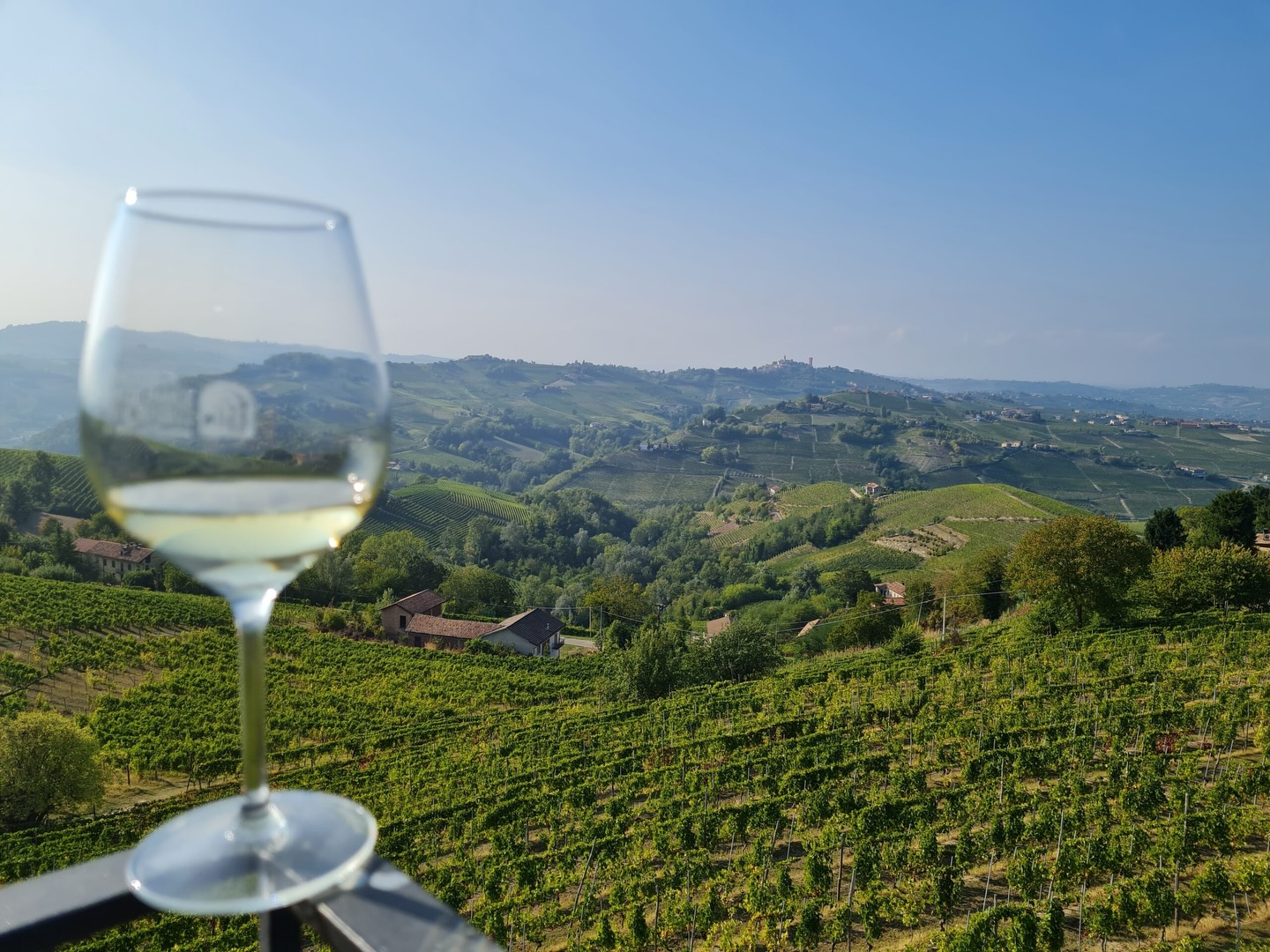 Community has always been at the heart of wine. 🍷
We loved spending the day with @free.grape.society sharing our wines alongside other local wineries and meeting many people who share a passion for wine.
Thank you to everyone who came along. We’re proud to be part of such a welcoming local wine community and always enjoy celebrating the people and place that make Piemonte so special.
.
.
.
#piemontewine #piemontewinetasting #freegrapesociety #italianwine #piemonte