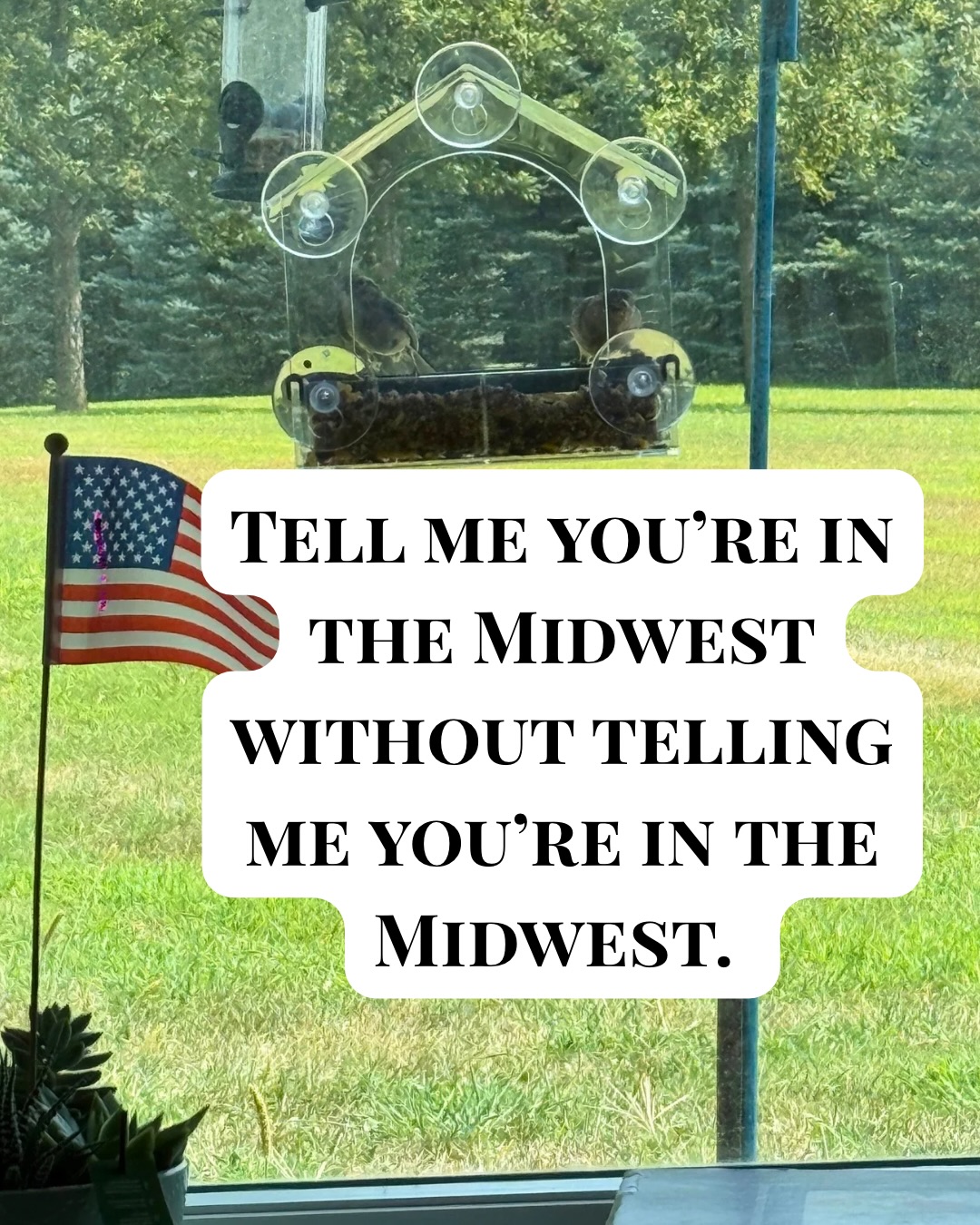 Can you guess which state(s) we were visiting?
2- insane humidity
3- farm fresh produce
4- fans on every porch and patio to make it manageable
5- a cooler full of sweet corn
6- Runza!
7- corn and bean fields as far as the eye can see
8- Keno (never played, but I’ve never seen it anywhere else)
9- home cooking that will stick to your ribs even when it’s 100° outside
10- Casey’s pizza
How many do you recognize?
Hit follow. We’re your people. @babblewithbrookeig the anti-influencer take on everything for 40+ ladies- fashion 👠 + food 🥘 + beauty 💄 + travel ✈️ + parenting 👶 + wellness 🧘♀️ + entertainment 🥂 and more!
#Midwest #MidwestLiving #MidwestInTheSummer #MidwestRelatable