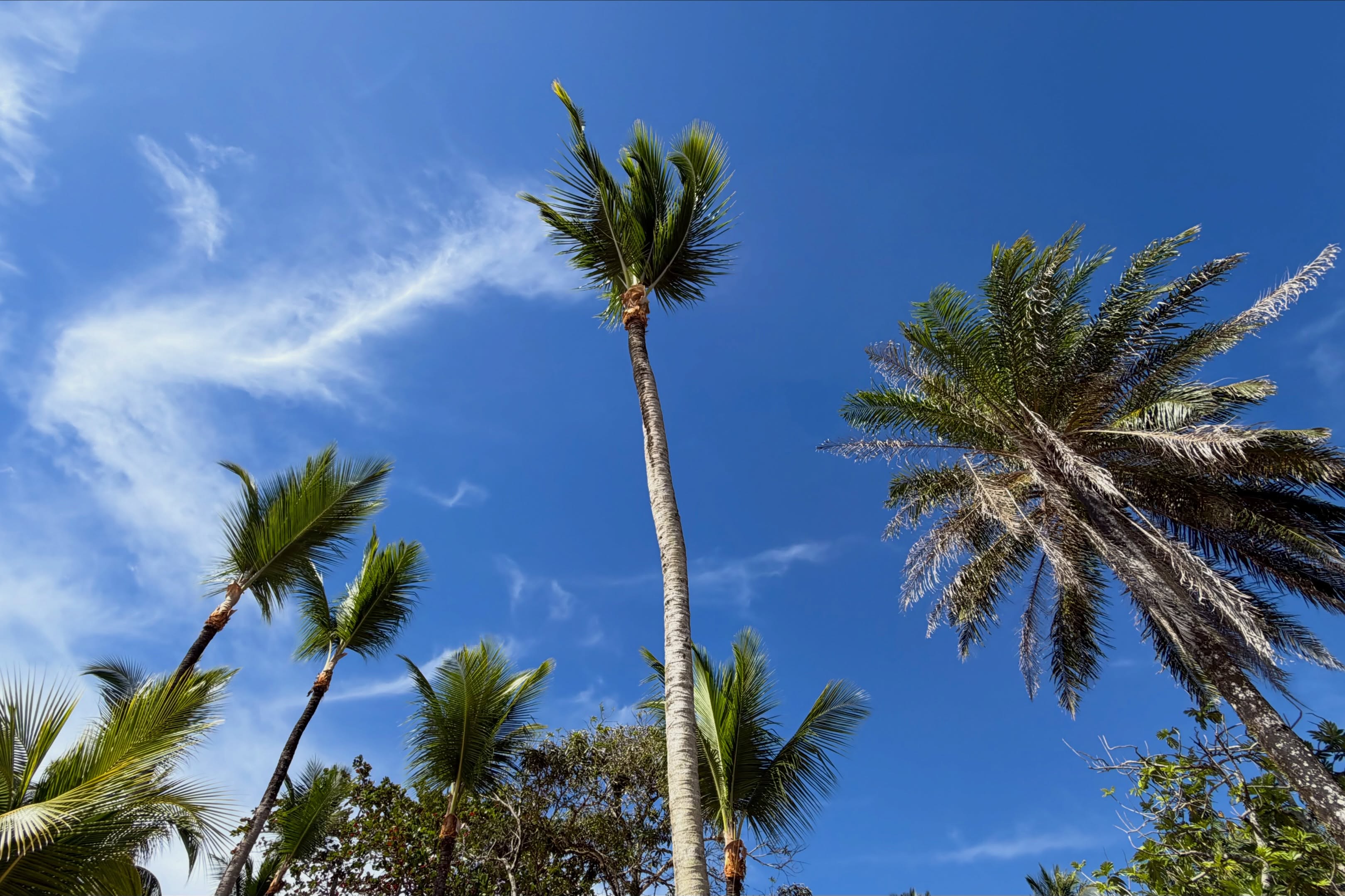Manhãs de inverno em Itacaré.
🏝️☀️❤️
Venha viver dias assim no paraíso!