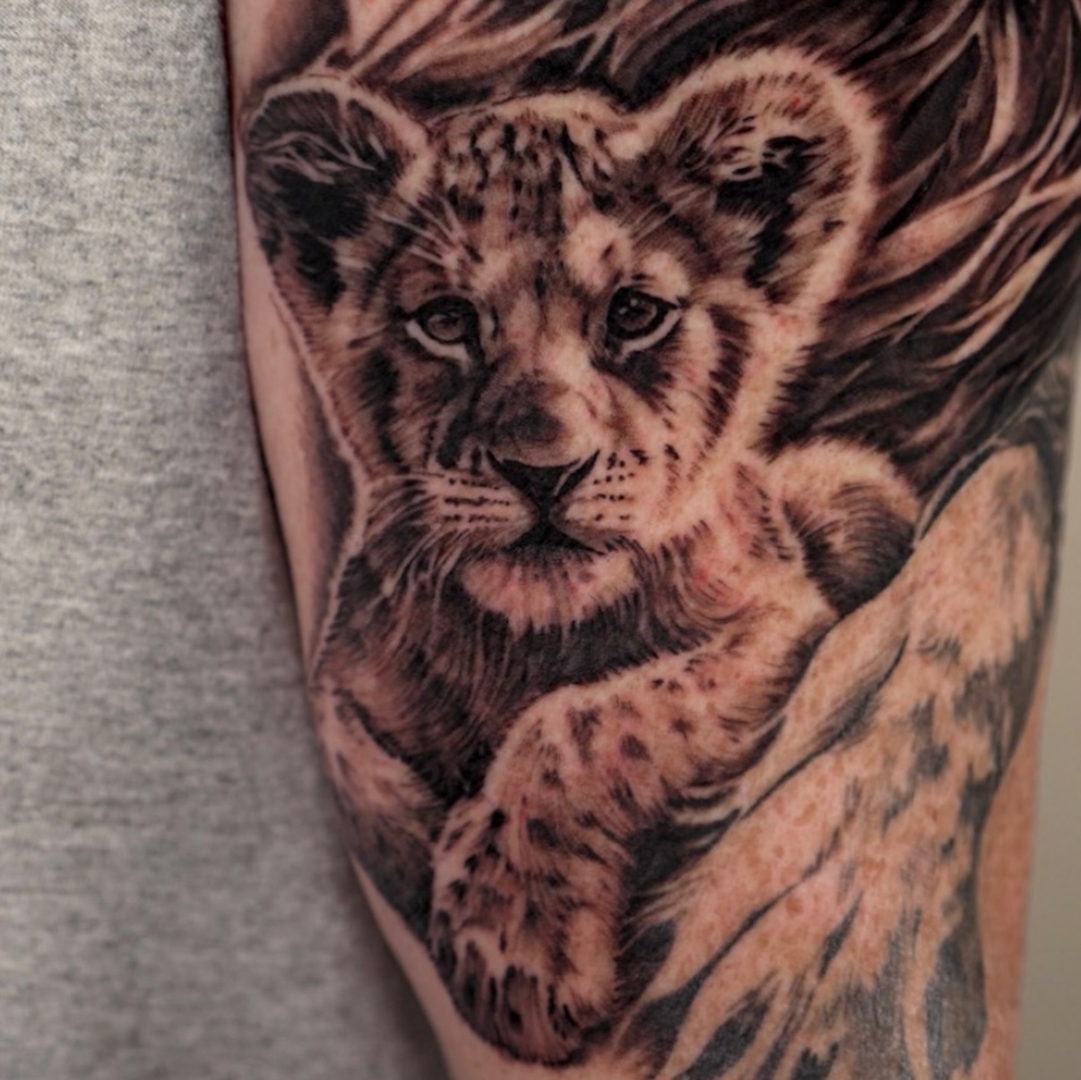 This little guy is one small part of a bigger sleeve, and Iām pretty proud of how he turned out.
I love tattooing animals. Getting the little details right and bringing personality into each piece is one of my favorite parts of what I do.
If youāve got an animal youād love to bring to life in black and gray realism, Iād love to hear your idea.
āThe wicked flee when no one pursues, but the righteous are bold as a lion.ā Proverbs 28:1
NOW ACCEPTING CUSTOM PROJECTS
Email beaubarkertattoo@gmail.com or use the @cocreateink link in my bio to schedule your consult.
Location: @formulatattoos, Addison TX
#christiantattooartist
#blackandgraytattoo
#dfwtattooartist
#animaltattoo
#liontattoo