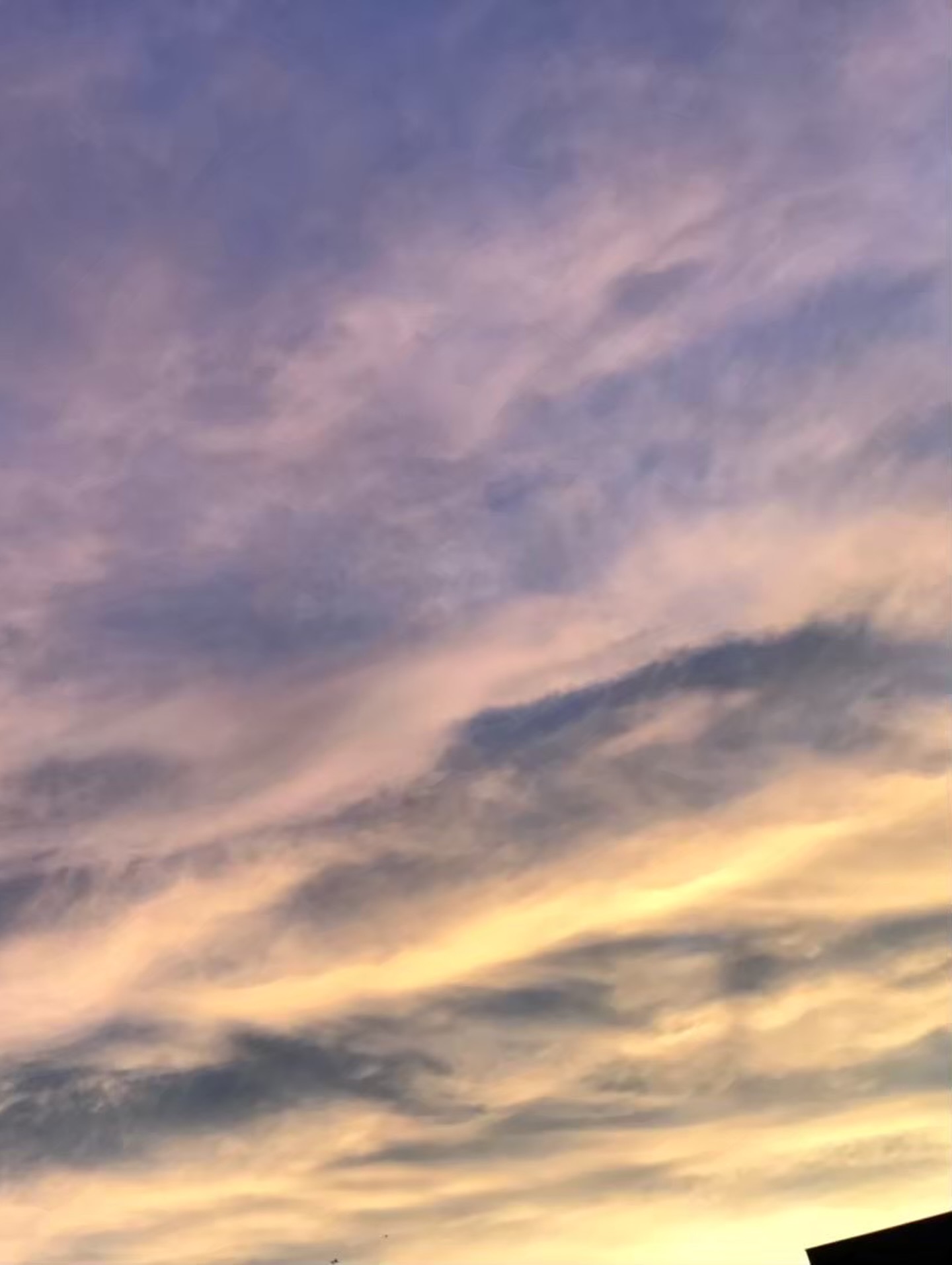 熊本に帰省した時に撮った空
地元の家族や親戚が災害の真っ只中にあっても、
京都では変わらない日常が続いていて、昨日が息子たちの引退試合だった
みんながそれぞれのいのちを一生懸命生きていて、
本当にただただ尊かった
一戦一戦終わりが近づくたびに感傷的な気持ちがあったけど、
終わりのないマラソンほど苦しいことはなく
終わりがあるから一瞬一瞬が輝き、そこにはたくさんのドラマが溢れてた
試合がすべて終わった後、息子の背中を見ながら、母も涙が止まらなかったな
素晴らしい成績を残したことを誇りに、その涙はまた次に繋げていけばいい
先生、仲間、そして一緒に青春した保護者のみなさん
このめぐりあわせに感謝します
本当に幸せな時間をありがとうございました
いま、終わりの見えない不安や苦しみの最中にいる方々が、
一日でも早く落ち着きを取り戻せますように…
美しいふるさと熊本、どうかこれ以上の被害がひろがりませんように
#祈り