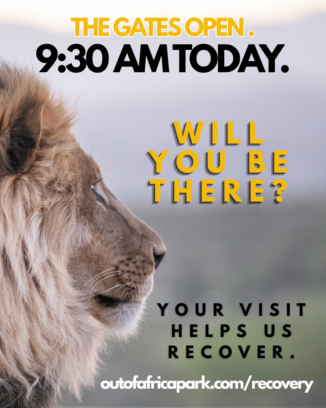 The gates are open in 35 minutes from the time I send this post.
Join us today from 9:30 a.m.–5 p.m. for Day 1 of our soft reopening.
Serengeti Tours are paused, but limited SuperMog Tours may be available. Giraffe feedings will take place at designated times throughout the day. Some experiences may remain limited while recovery work continues—please forgive our mess.
Had a July birthday? Bring your ID and celebrate with $12 admission throughout August. We want to celebrate you.
The flood damaged roughly 50 acres of the park. Reopening is a major milestone, but we still have a long road ahead.
Your ticket, support, and visit help us recover. If you can’t visit today, please donate or share our recovery page:
outofafricapark.com/recovery
We hope to have more news about our recovery for you soon, but for now, thank you for all your support.
#outofafricawildlifepark #outofafricawildlifeparkandsanctuary #sedona #campverde #arizonatravel #arizonawithkids #wildlifepark