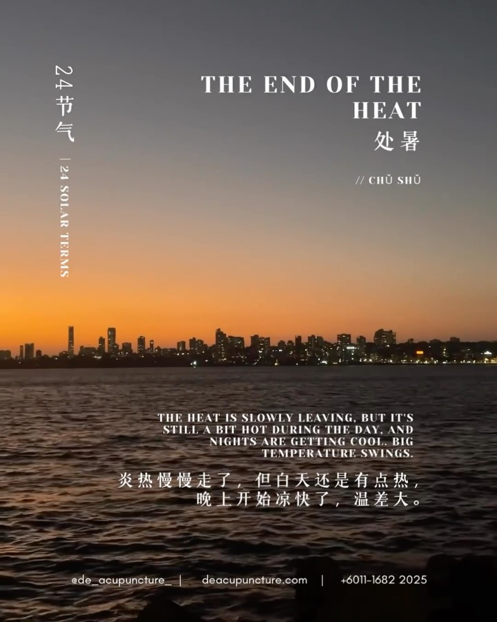 The end of the heat |24 Solar Terms 处暑 (Chǔ Shǔ)
The heat is ending, but the cold is coming! 🥵➡️🥶
Chǔ Shǔ (处暑), the “End of Heat” solar term, signals the transition from late summer to early autumn. In TCM, this is a dangerous time because the weather is unpredictable—hot afternoons but cool mornings and evenings (“Autumn Tiger”).
TCM Danger:
The sudden changes invite Wind-Cold and Dampness, making you prone to colds and flu. Also, the Lungs start to feel the Autumn Dryness (秋燥).
TCM Defense:
➡️Cover Up!
Protect your neck and back, especially in the mornings and evenings, to block Wind-Cold invasion.
➡️Moisten the Lungs:
Eat white foods that nourish Yin and moisten dryness, like Pears, White Fungus, and Honey. Reduce spicy food intake.
➡️Rest:
Start going to bed a little earlier to align with the season’s collecting energy and combat “Autumn Fatigue.”
Don’t let the weather trick you!
Are you preparing a white fungus soup this week? 👇
To balance your body for the season, consult our TCM experts at 医心医意中医坊 De Acupuncture x Herbs Centre! 💖
#ChǔShǔ #EndofHeat #TCM #AutumnTips #LungHealth
