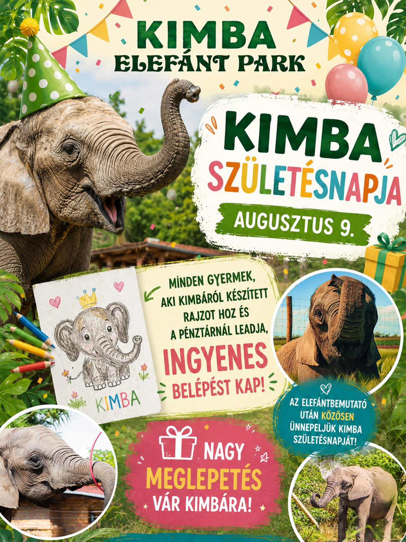 🎉🐘 Kimba születésnapja közeleg! 🥳💚
Augusztus 9-én szeretettel várunk mindenkit, hogy együtt ünnepeljük Kimba születésnapját a Kimba Elefánt Parkban! 🎂🐘
🎨 Rajzolj Kimbáról egy képet, hozd magaddal, és add le a pénztárnál!
🎁 Minden gyermek, aki saját Kimba-rajzot hoz, ingyenes belépést kap!
🎉 A 11:30-kor kezdődő elefántshow után közösen felköszöntjük Kimbát, és természetesen egy nagy meglepetéssel is készülünk! 🎈✨
Játékok, vidám hangulat és rengeteg felejthetetlen élmény vár az egész családra! 💚
Ki készíti el a legszebb Kimba-rajzot? 🖍️🐘 Mi már alig várjuk, hogy lássuk az alkotásokat!
📅 Augusztus 9.
📍 Kimba Elefánt Park
#KimbaElefántPark #Kimba #Születésnap #CsaládiProgram #Elefánt Győr NyáriProgram