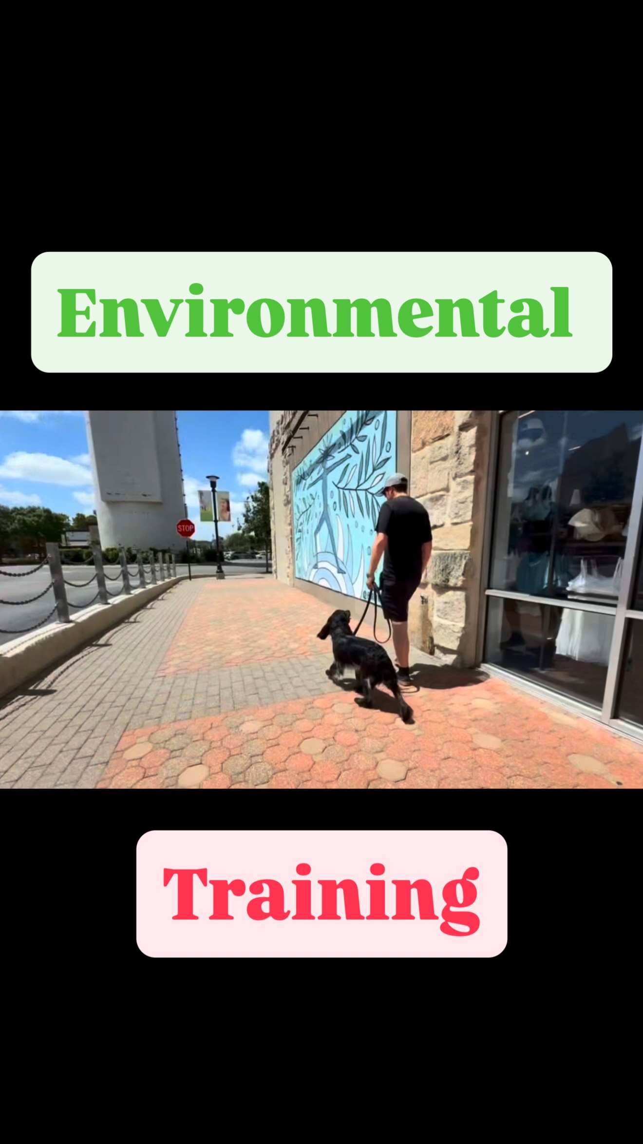 Environmental training 101: Why is it important? š
Hope you all enjoy the longer video š
